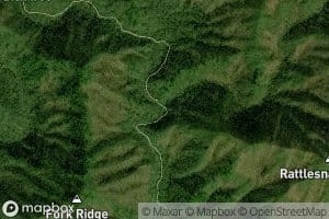 Beetree Creek