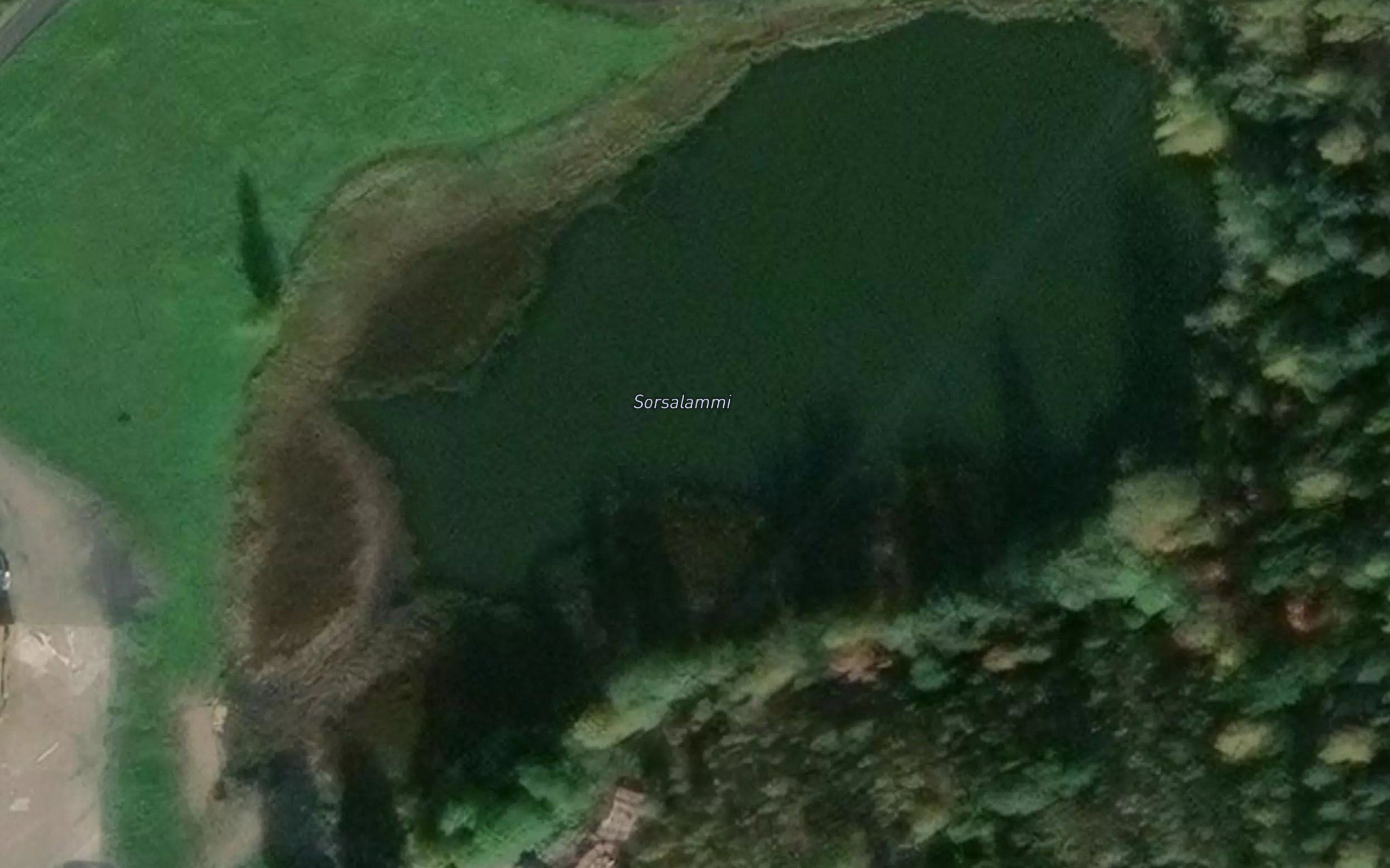 Sorsalammi