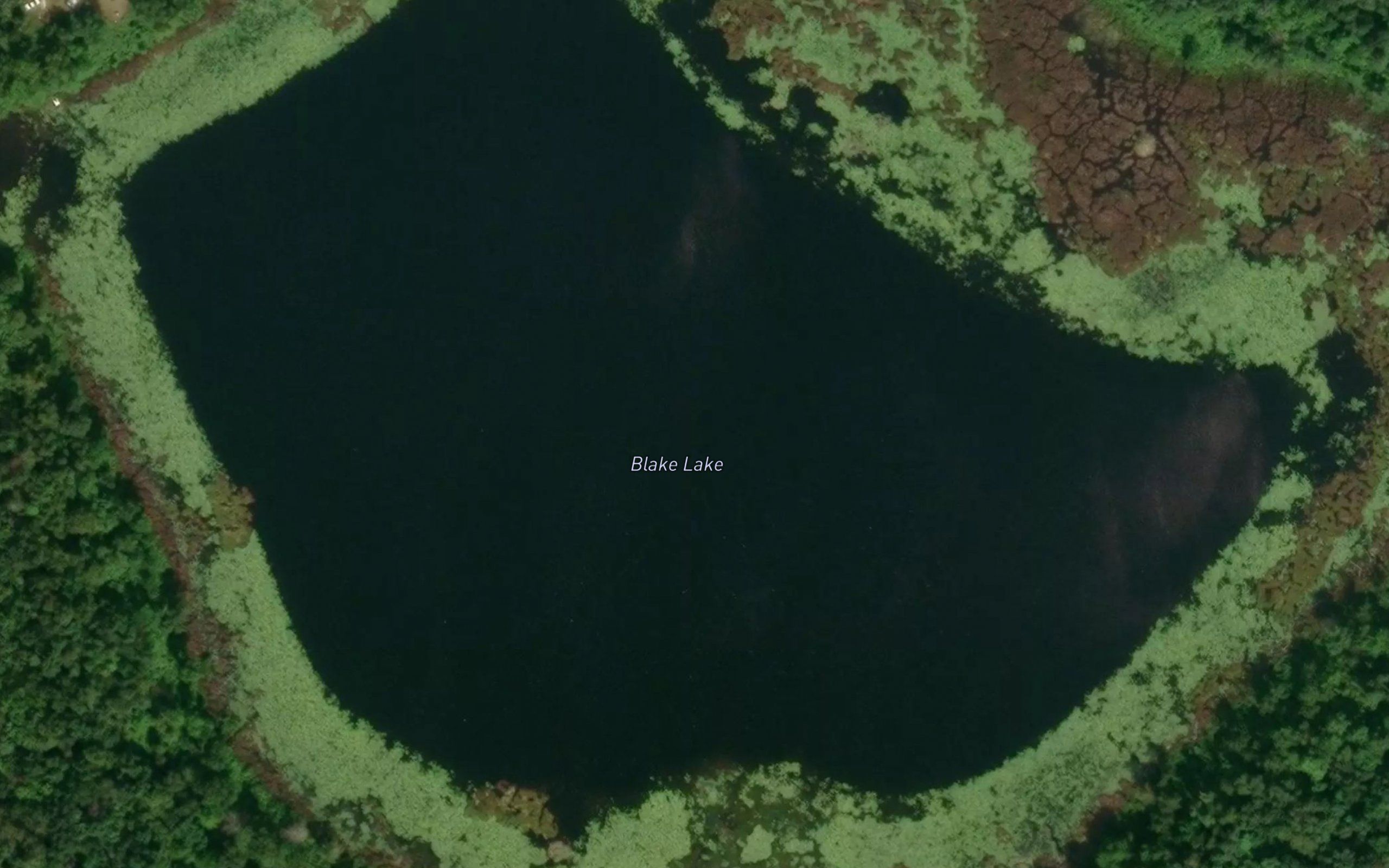 Blake Lake