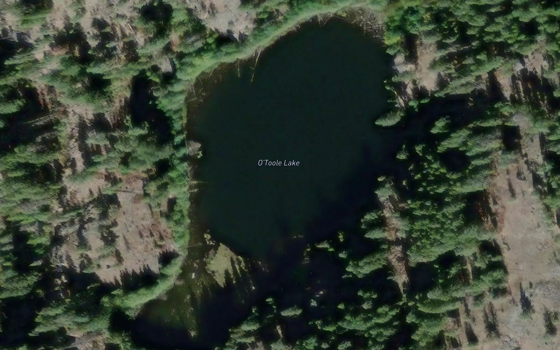 Satellite map of the O'Toole Lake