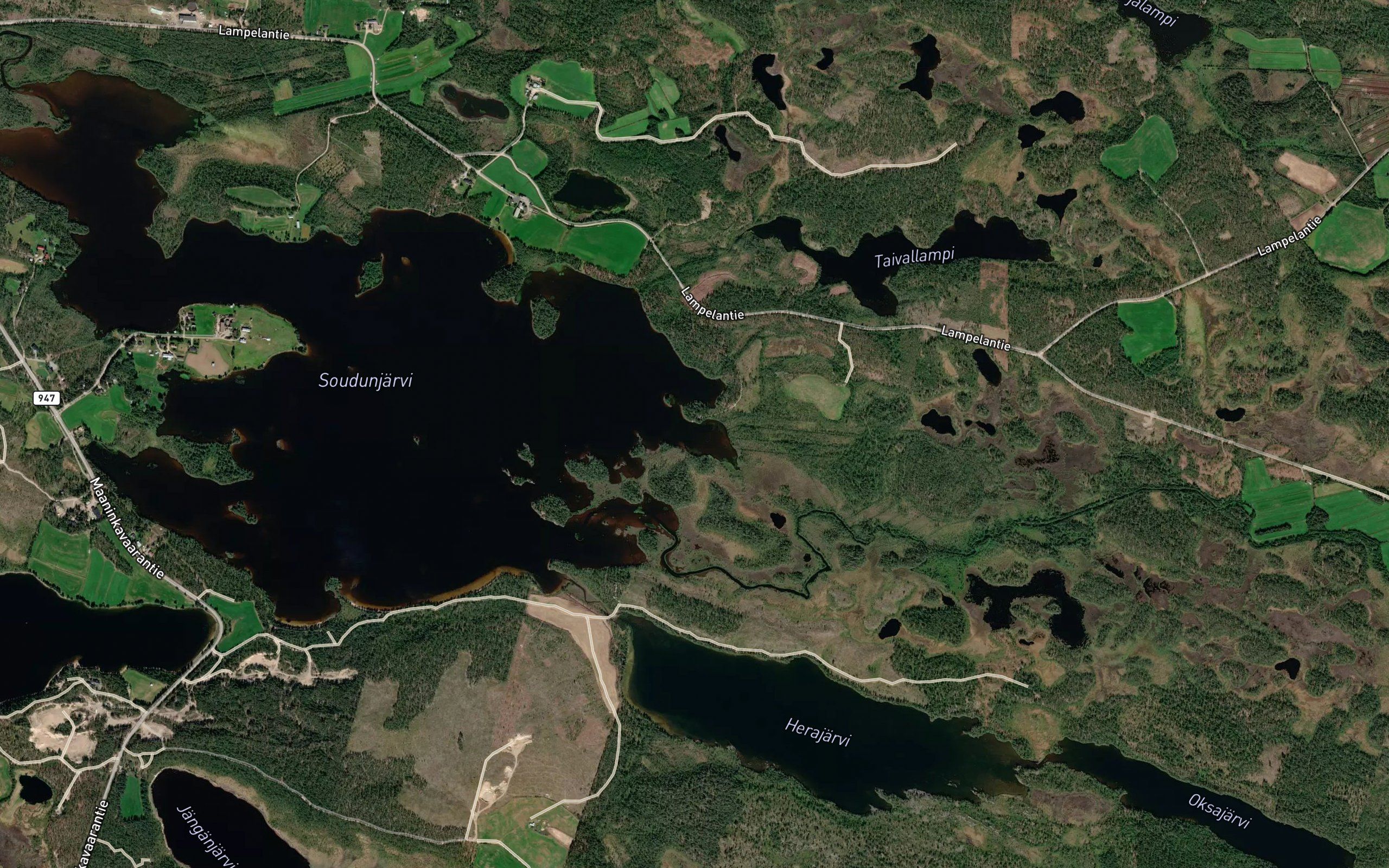 Pitkalahti