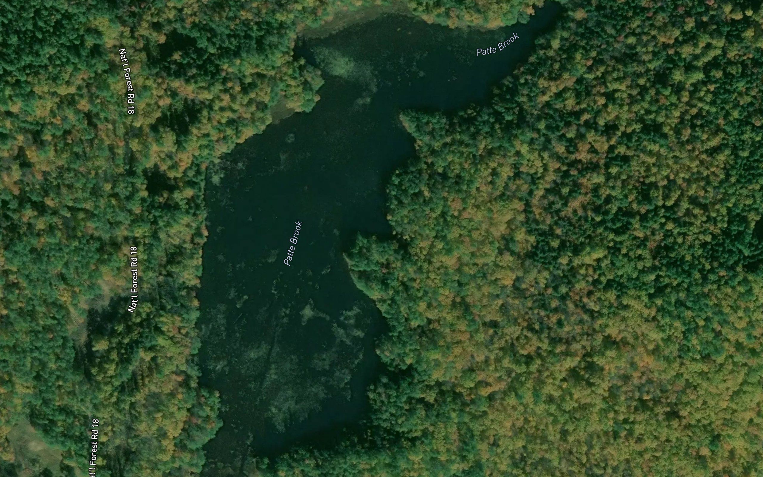 Patte Brook Waterfowl Impoundment Reservoir