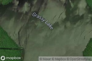 Grassy Lake