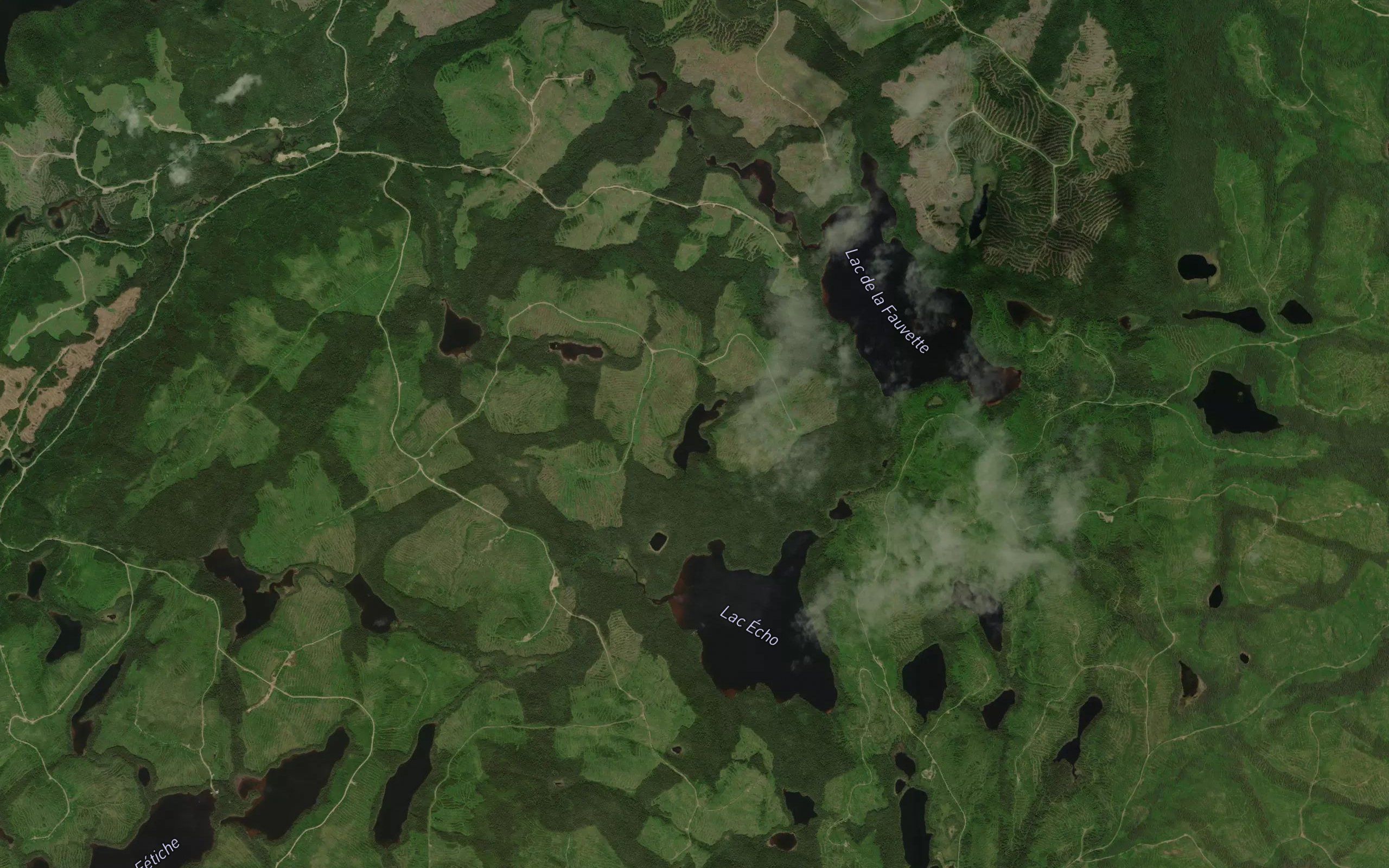 Lac Panache
