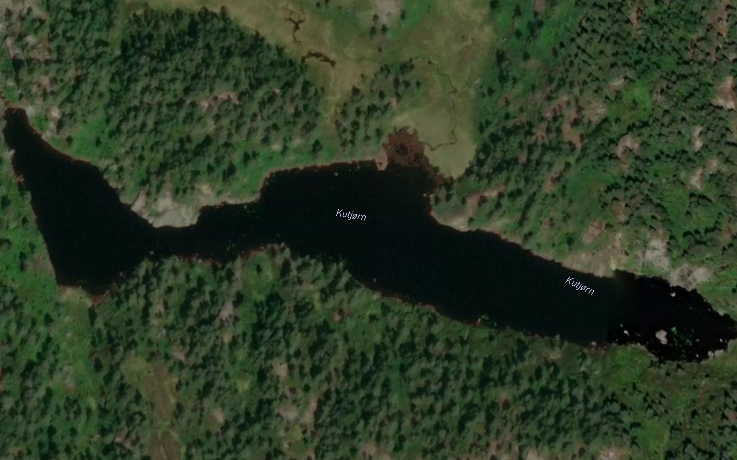 Kutjorn