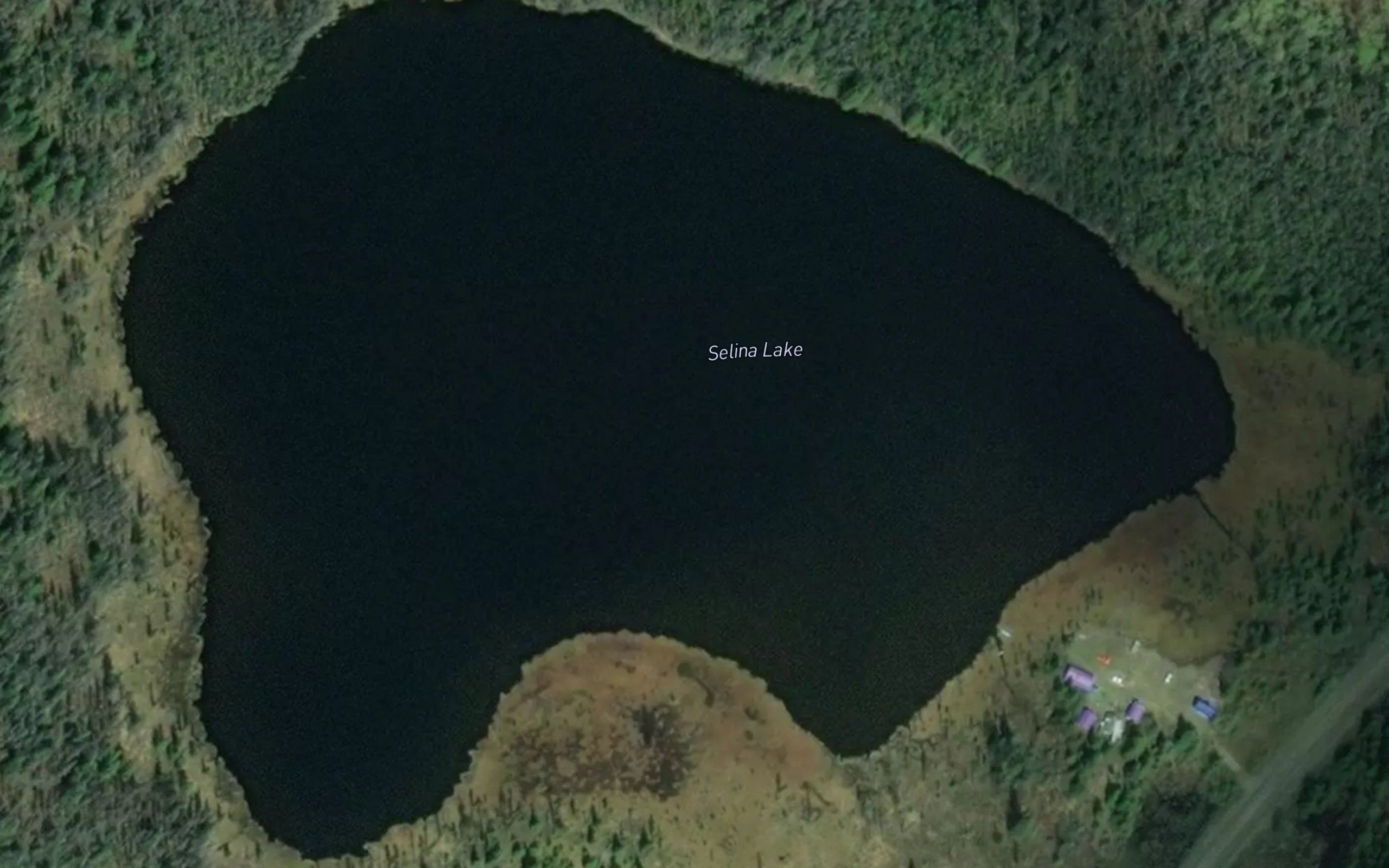 Selina Lake
