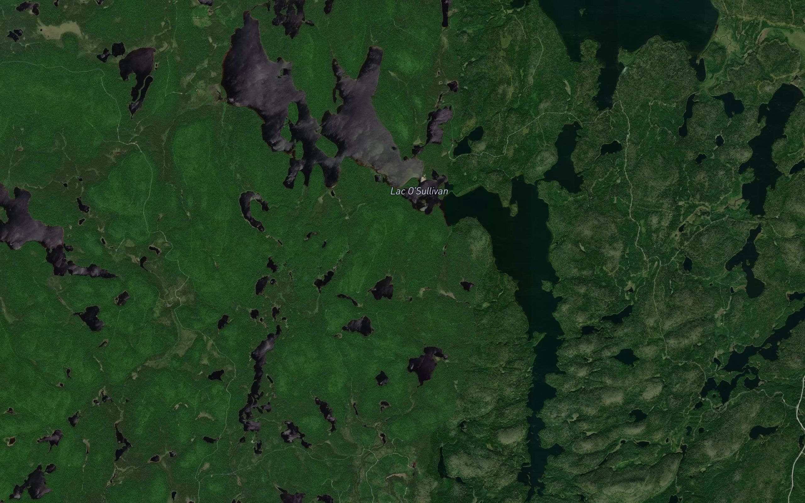 Lac O'Sullivan