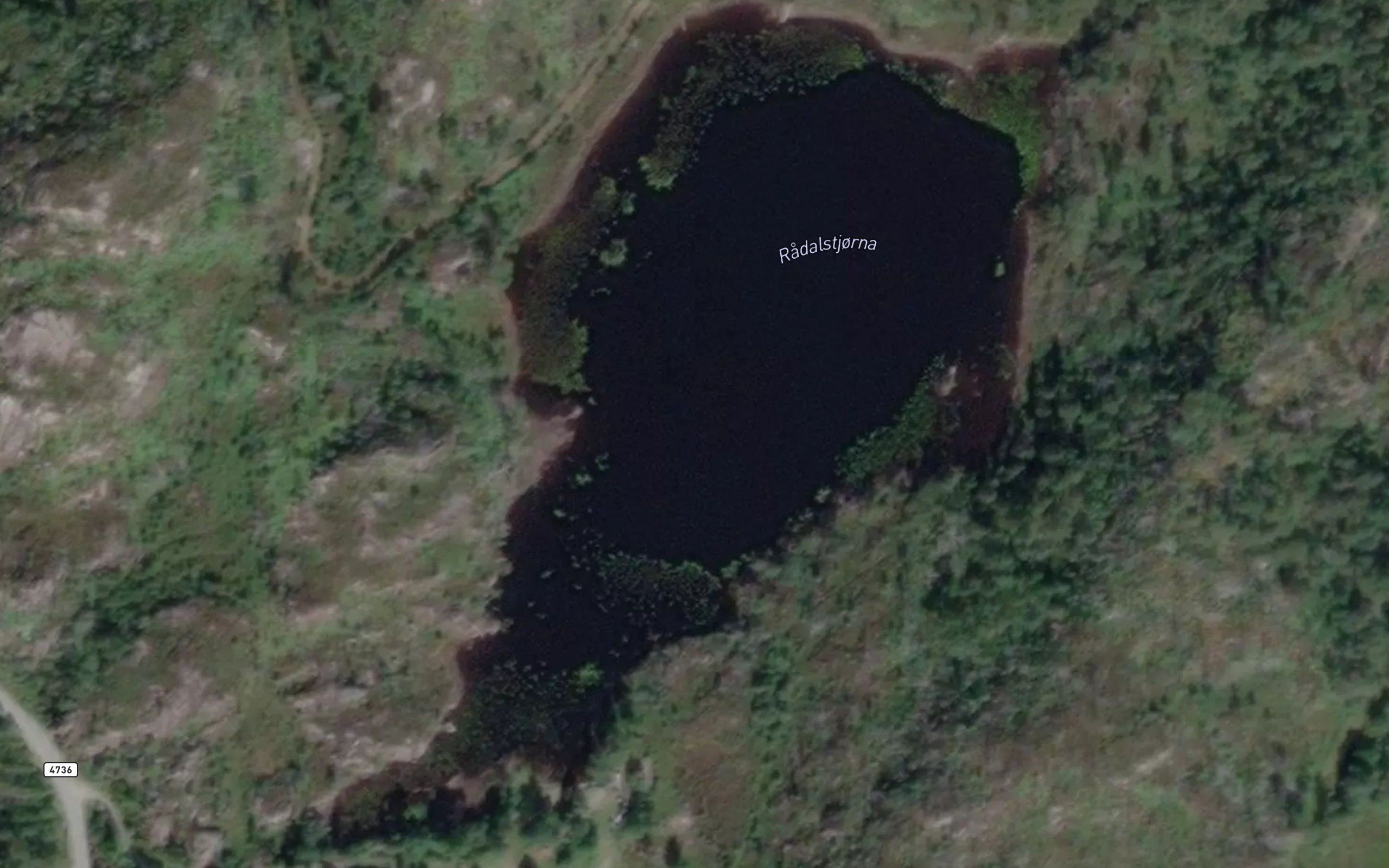 Radalstjorna
