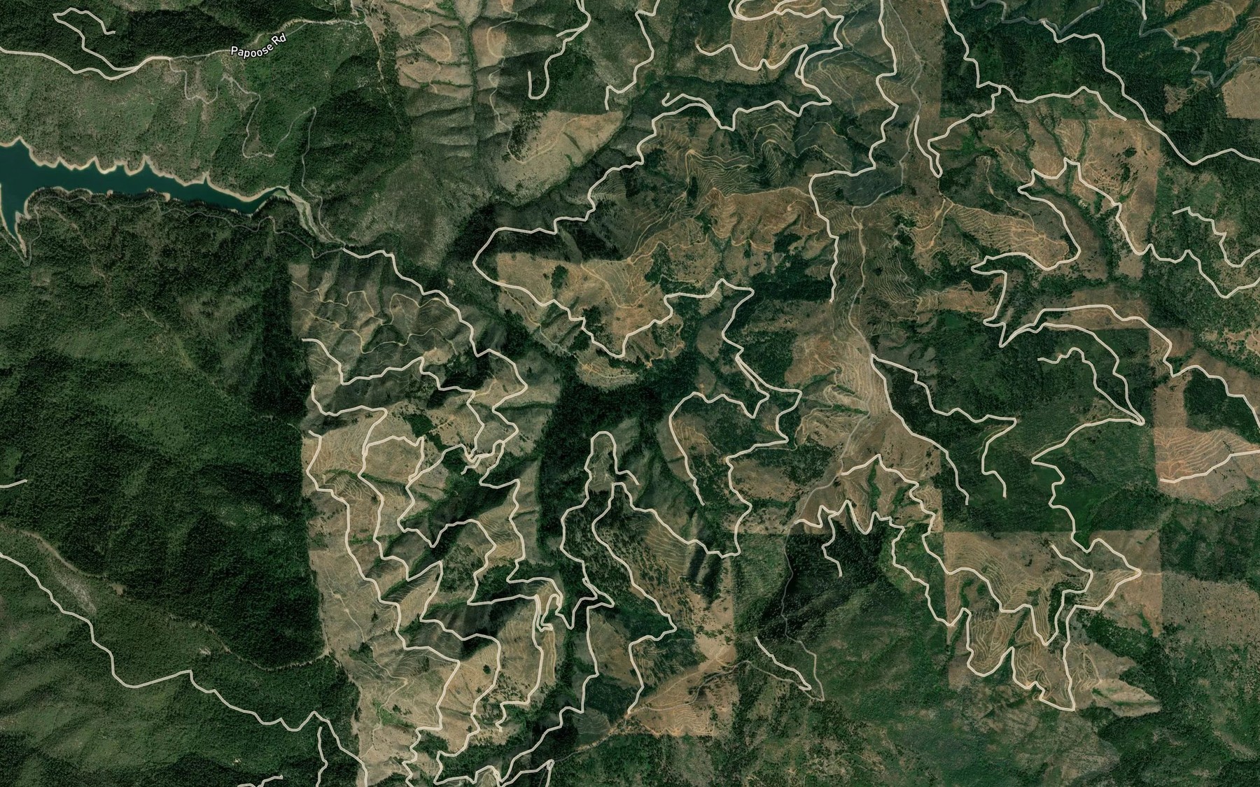 Satellite map of the East Fork Papoose Creek