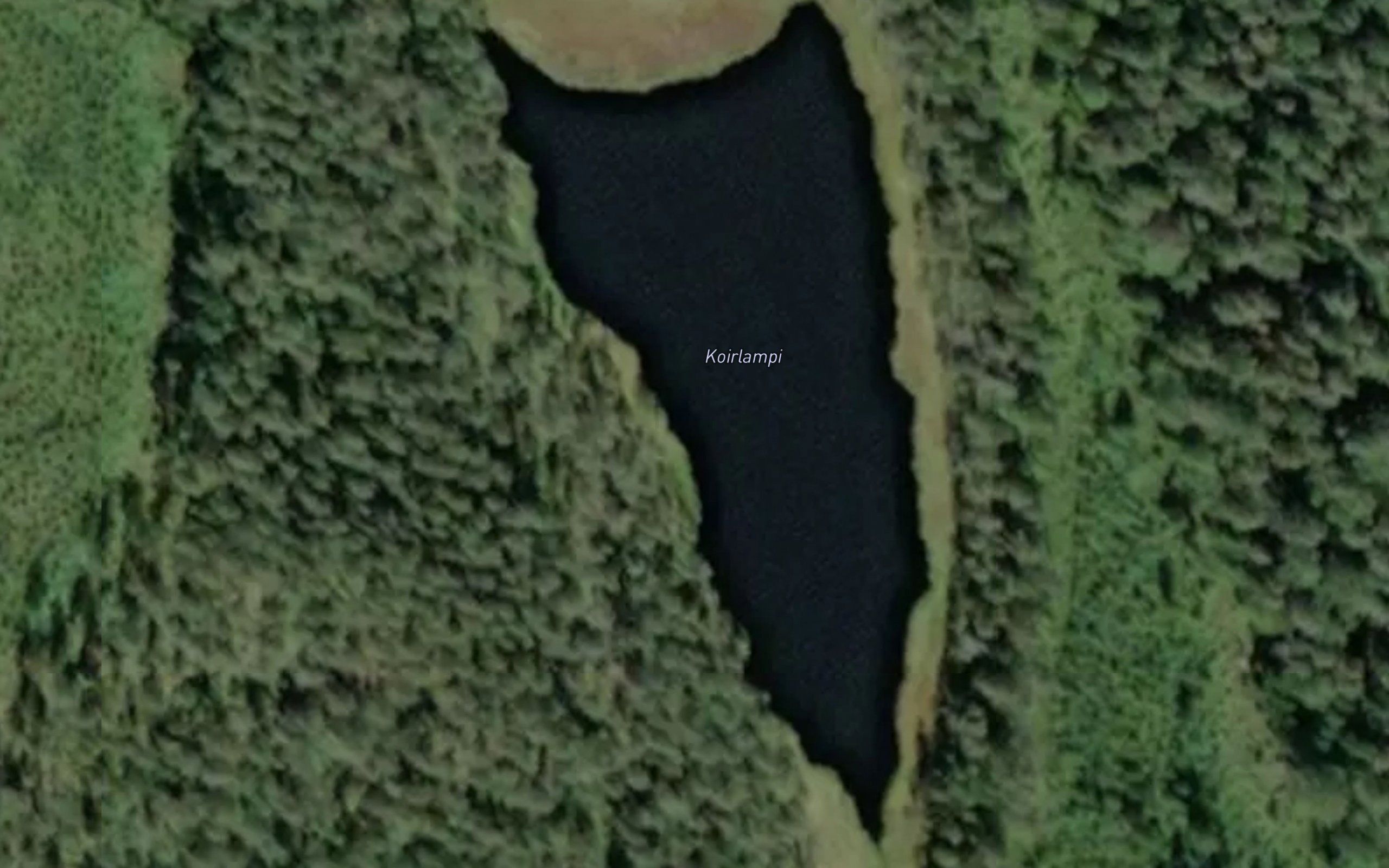 Koirlampi