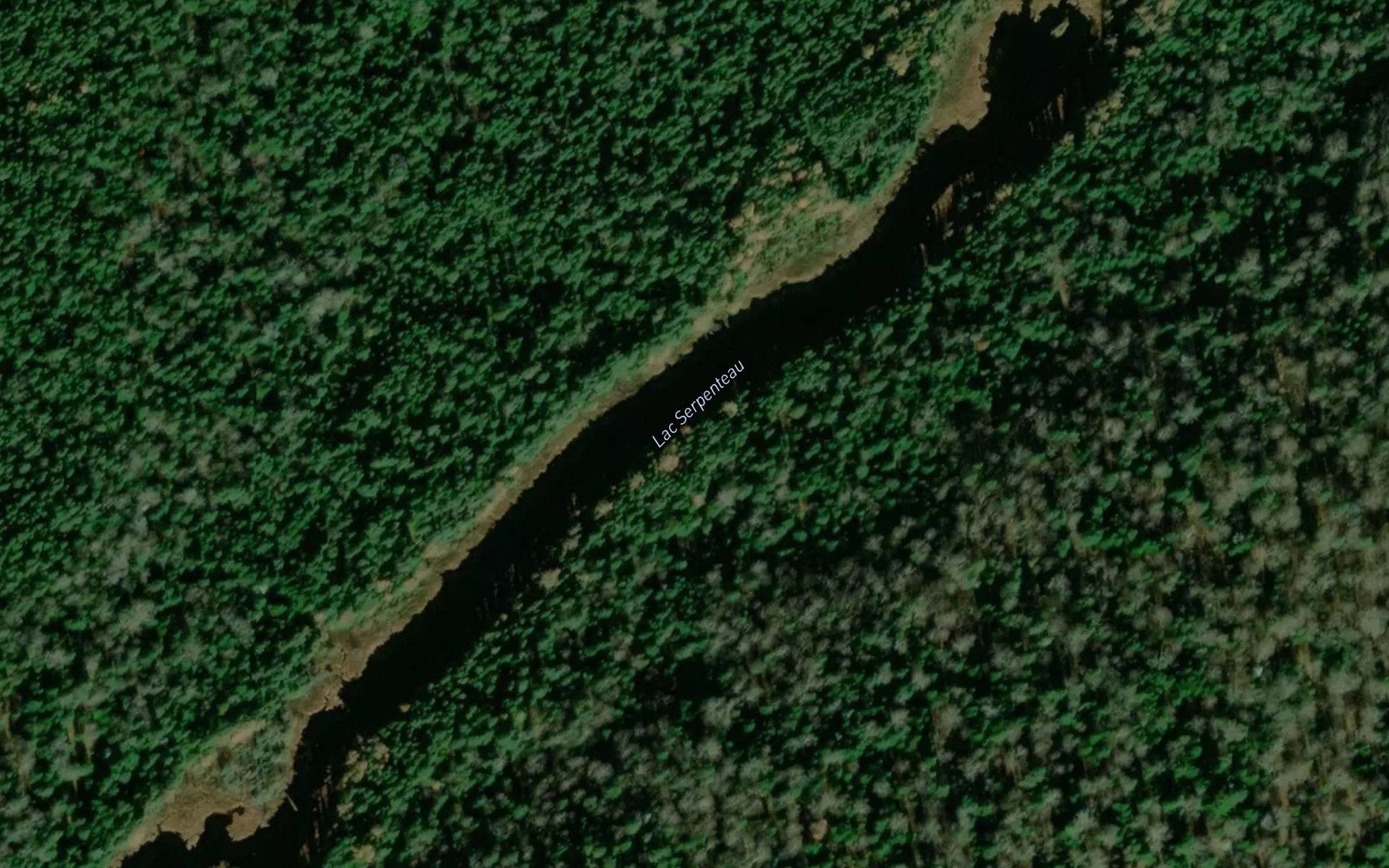 Satellite map of the Lac Serpenteau