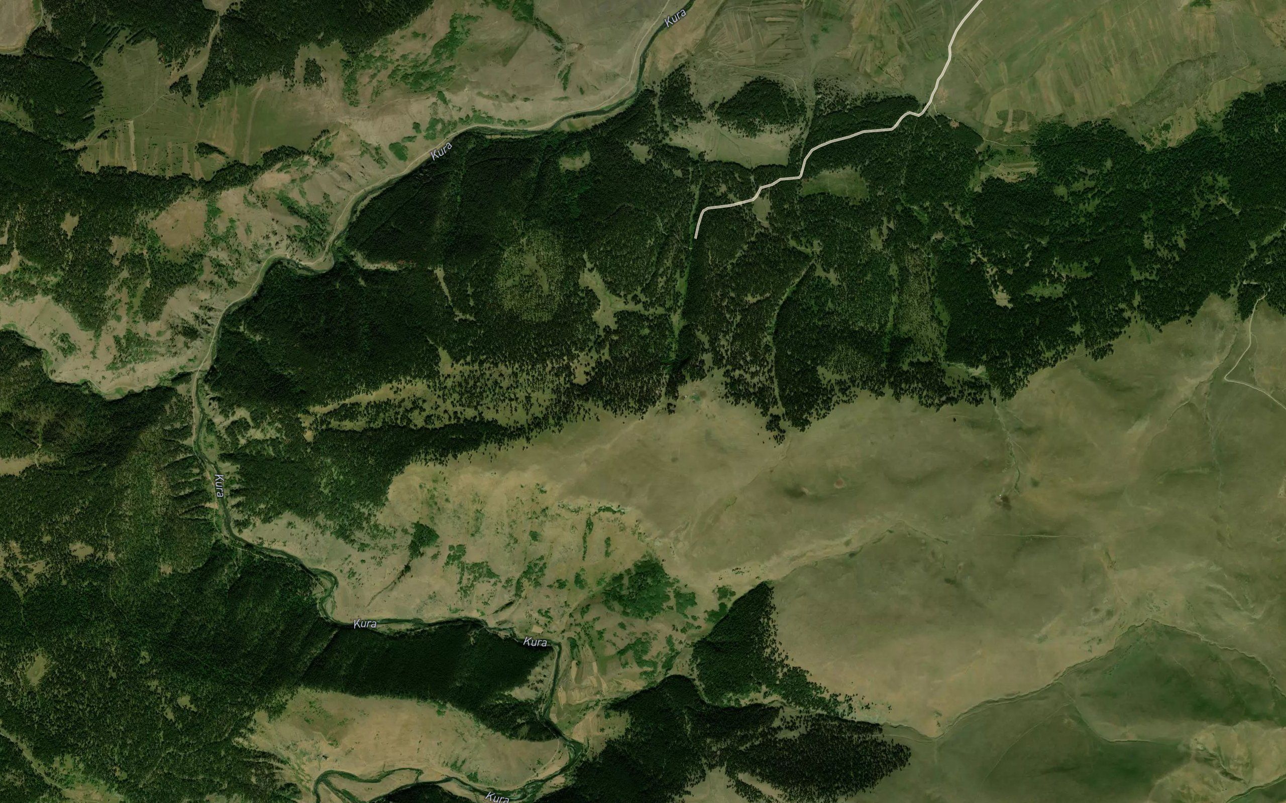 Yayla Pinari