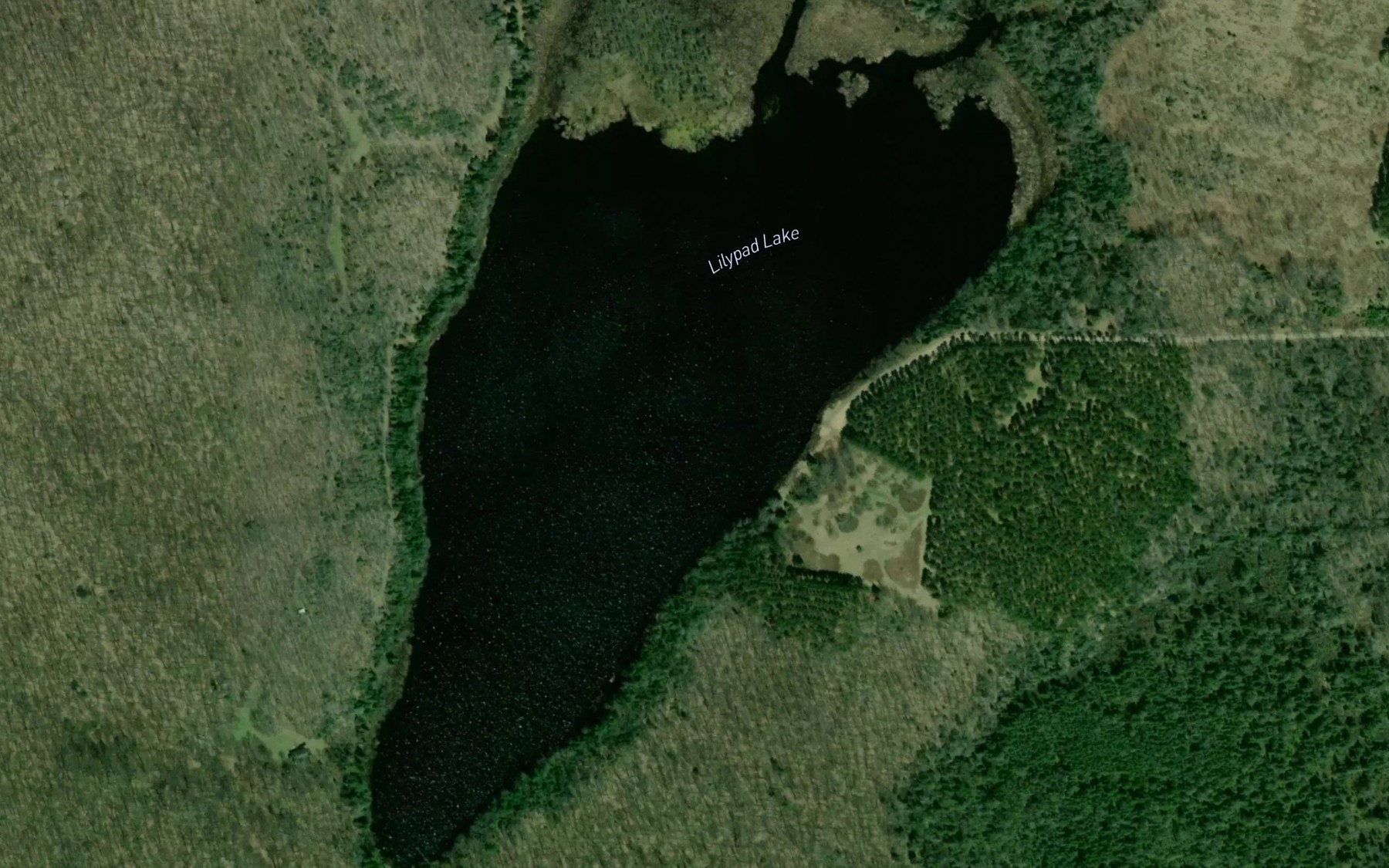 Satellite map of the Lilypad Lake