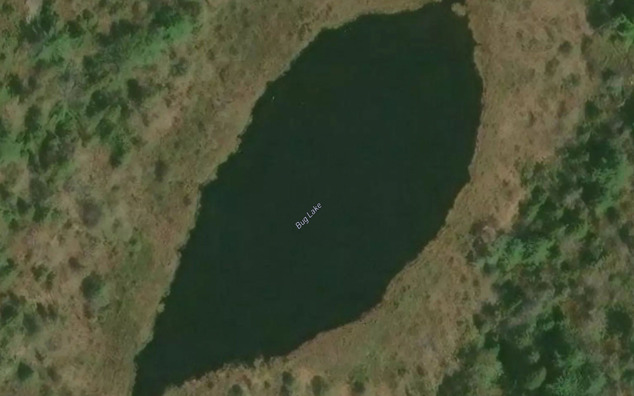 Bug Lake