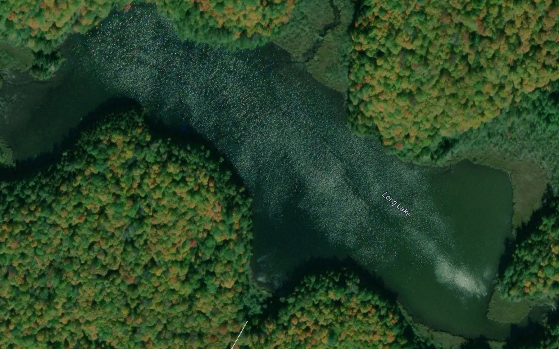 Satellite map of the Long Lake