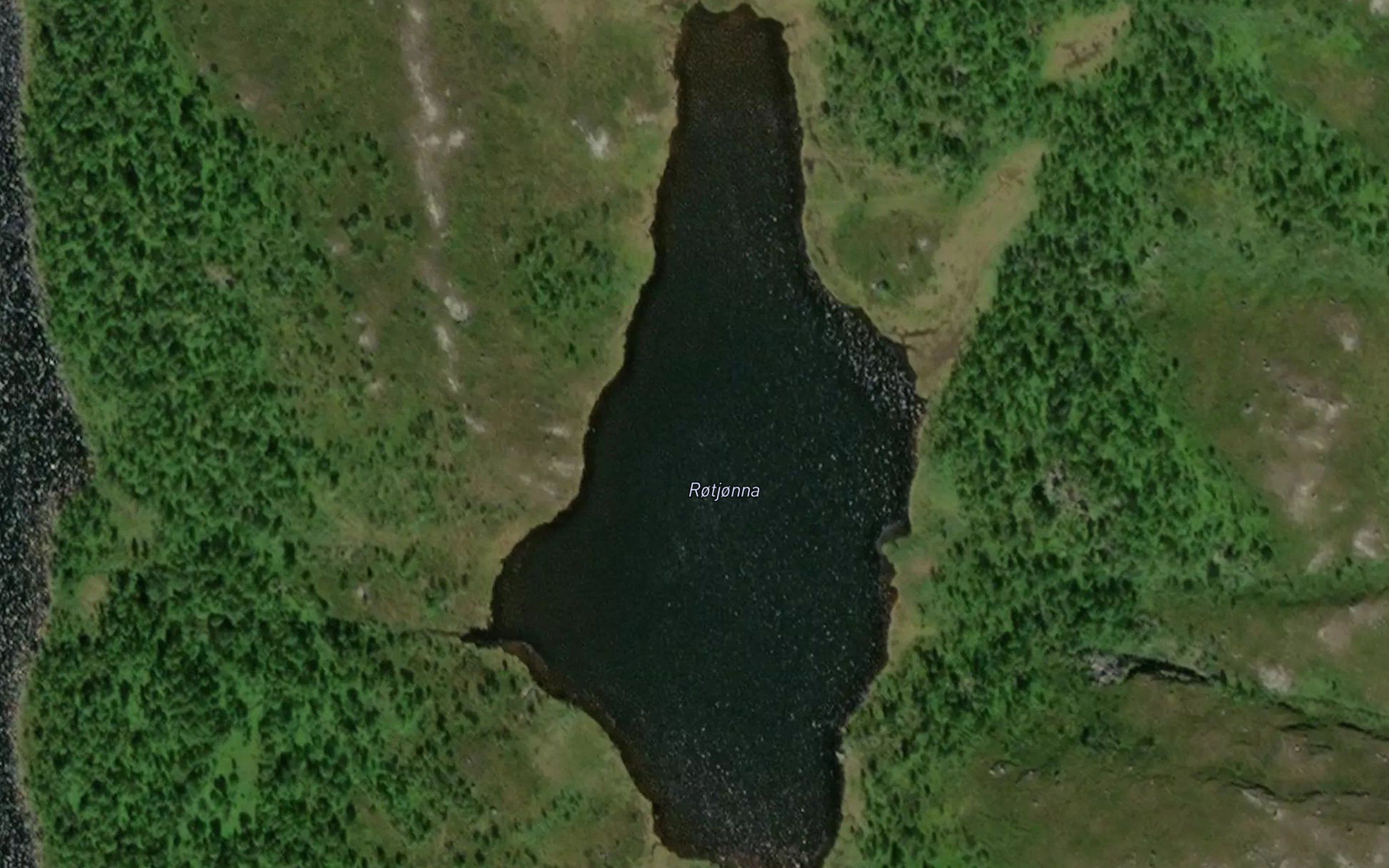 Rotjonna
