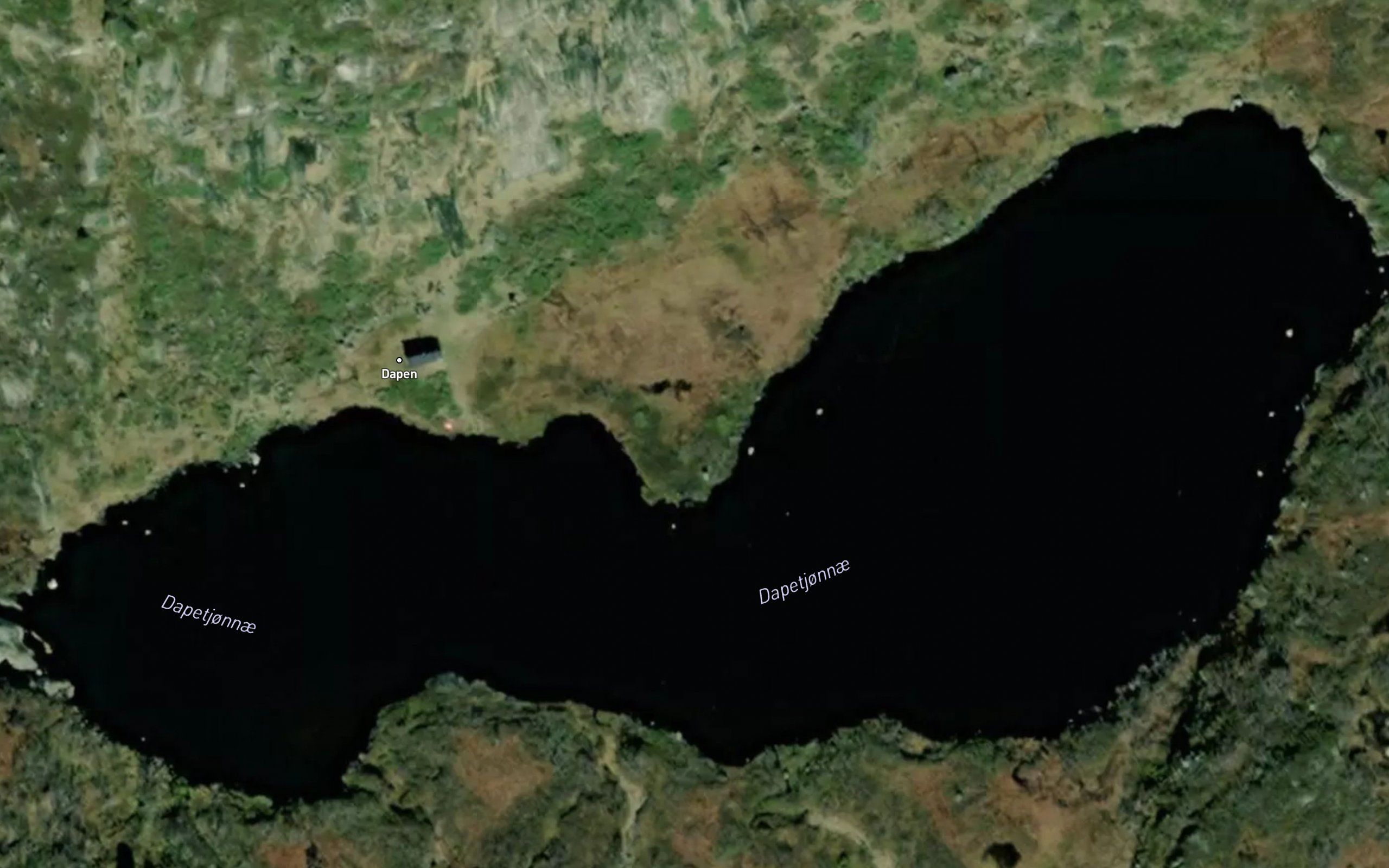 Dapevatnet