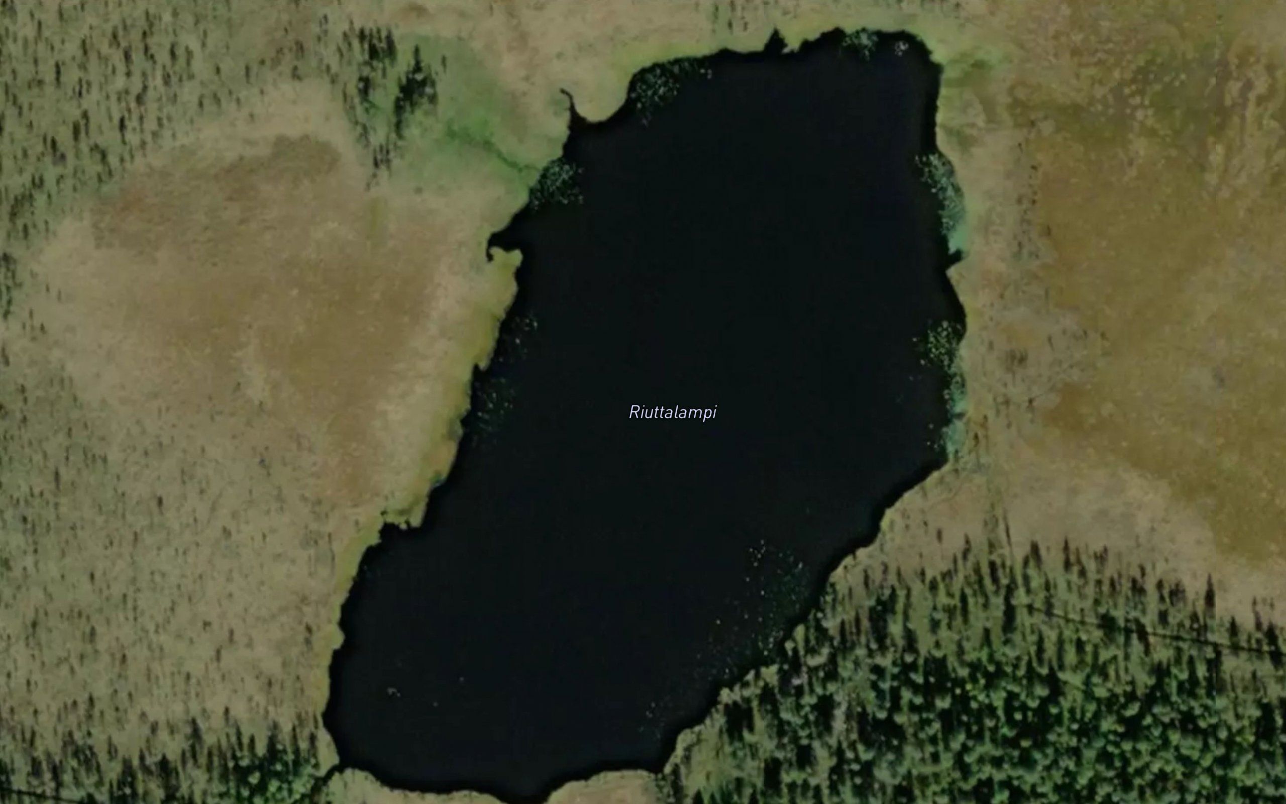 Riuttalampi
