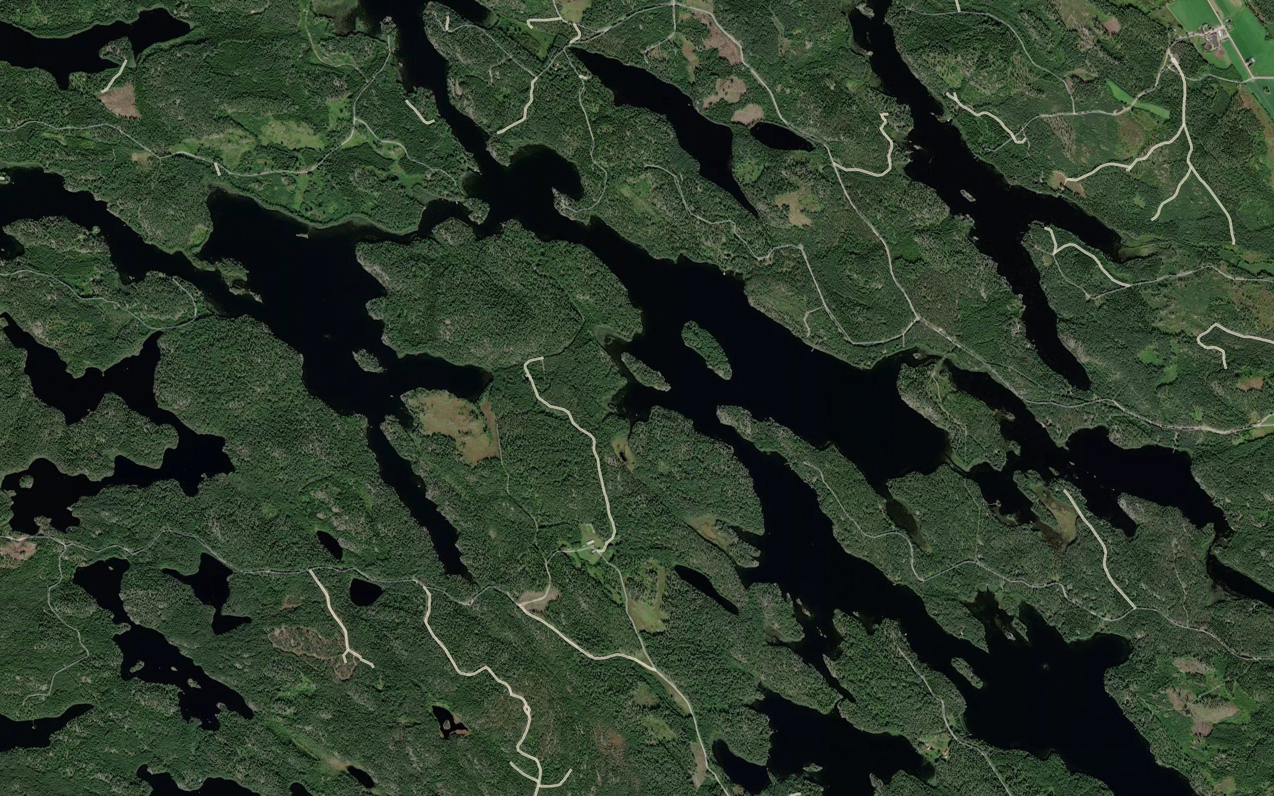 Paitakkalahti