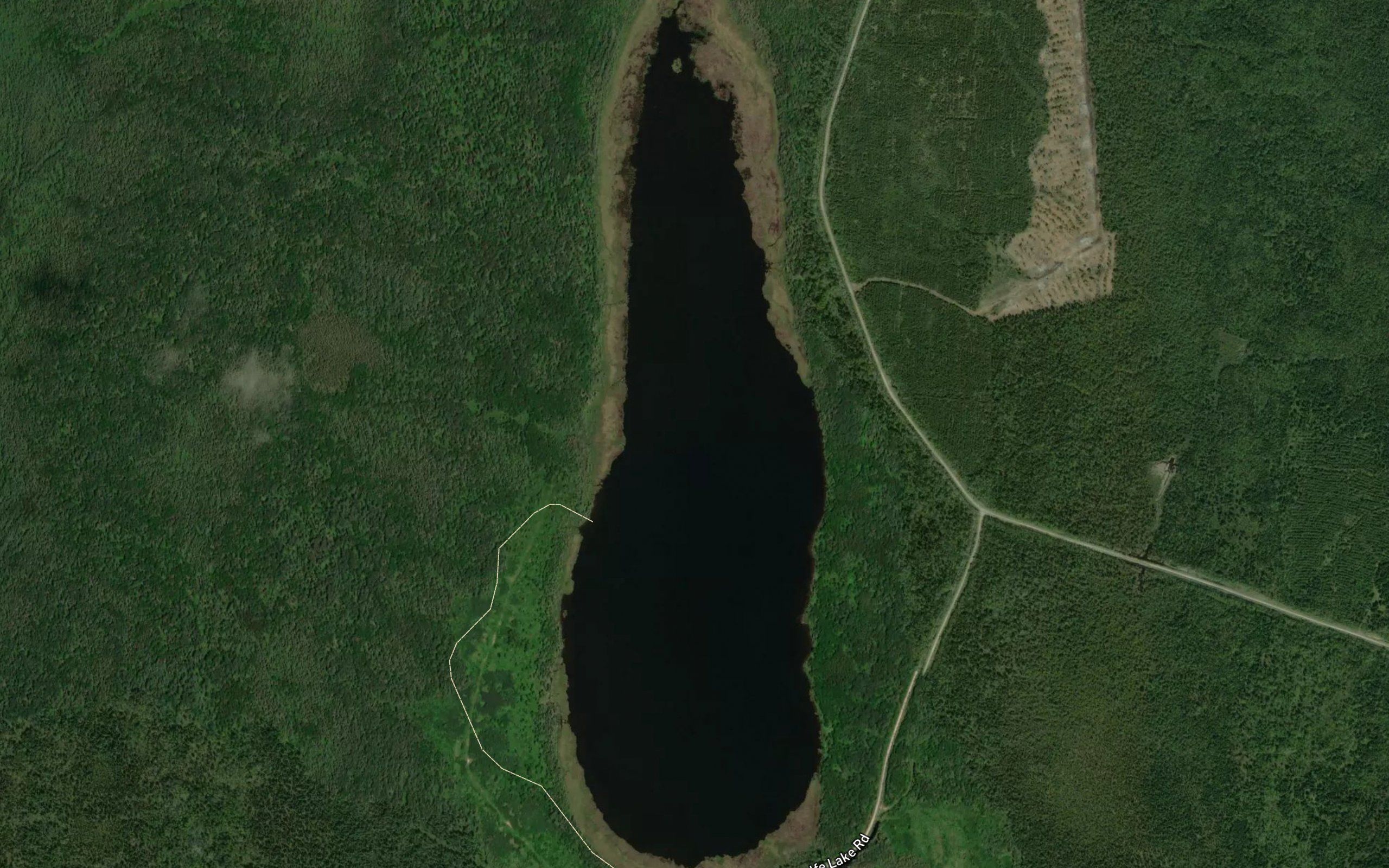 Wolfe Lake