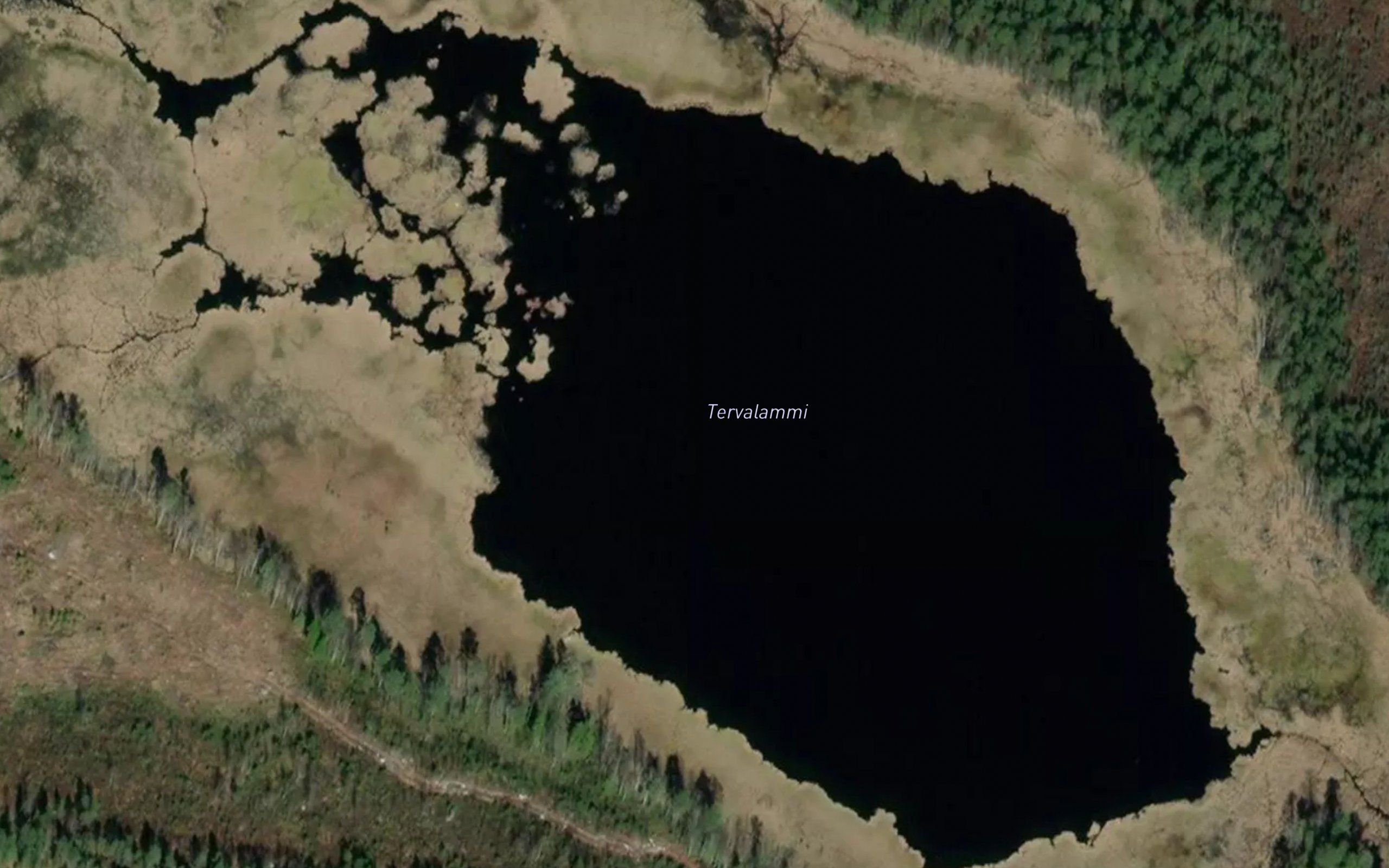 Tervalammi