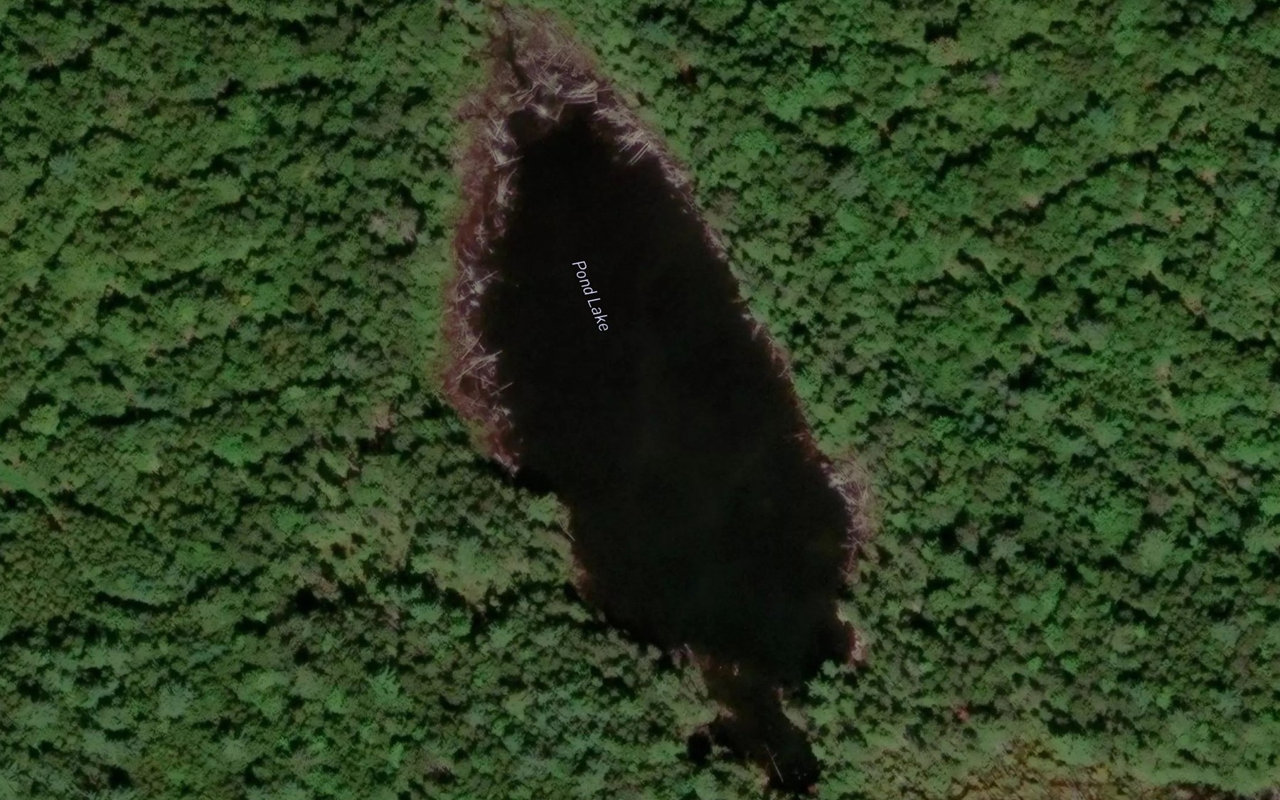 Satellite map of the Pond Lake
