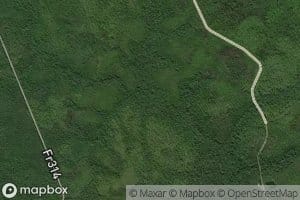 Camp Branch