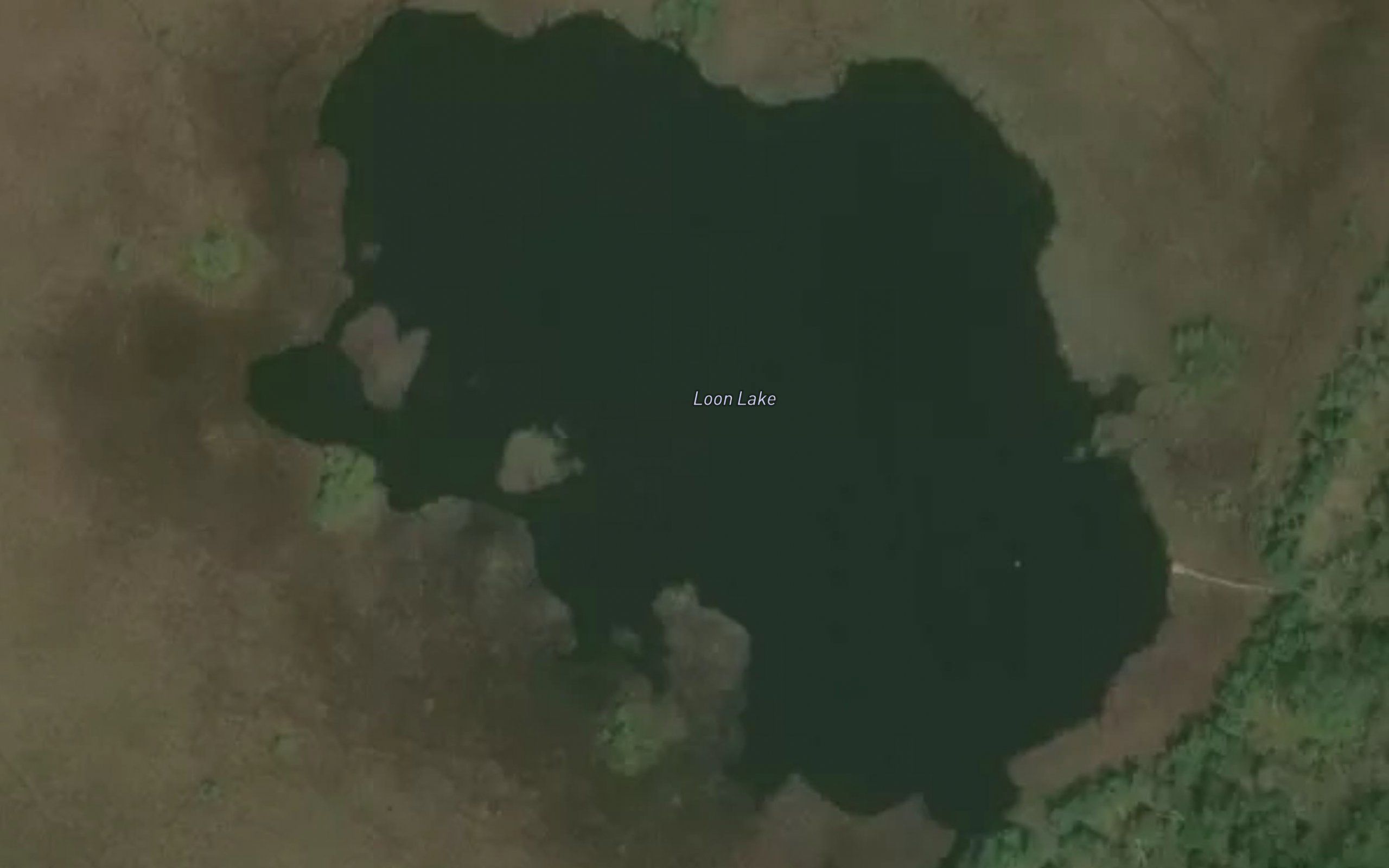 Loon Lake