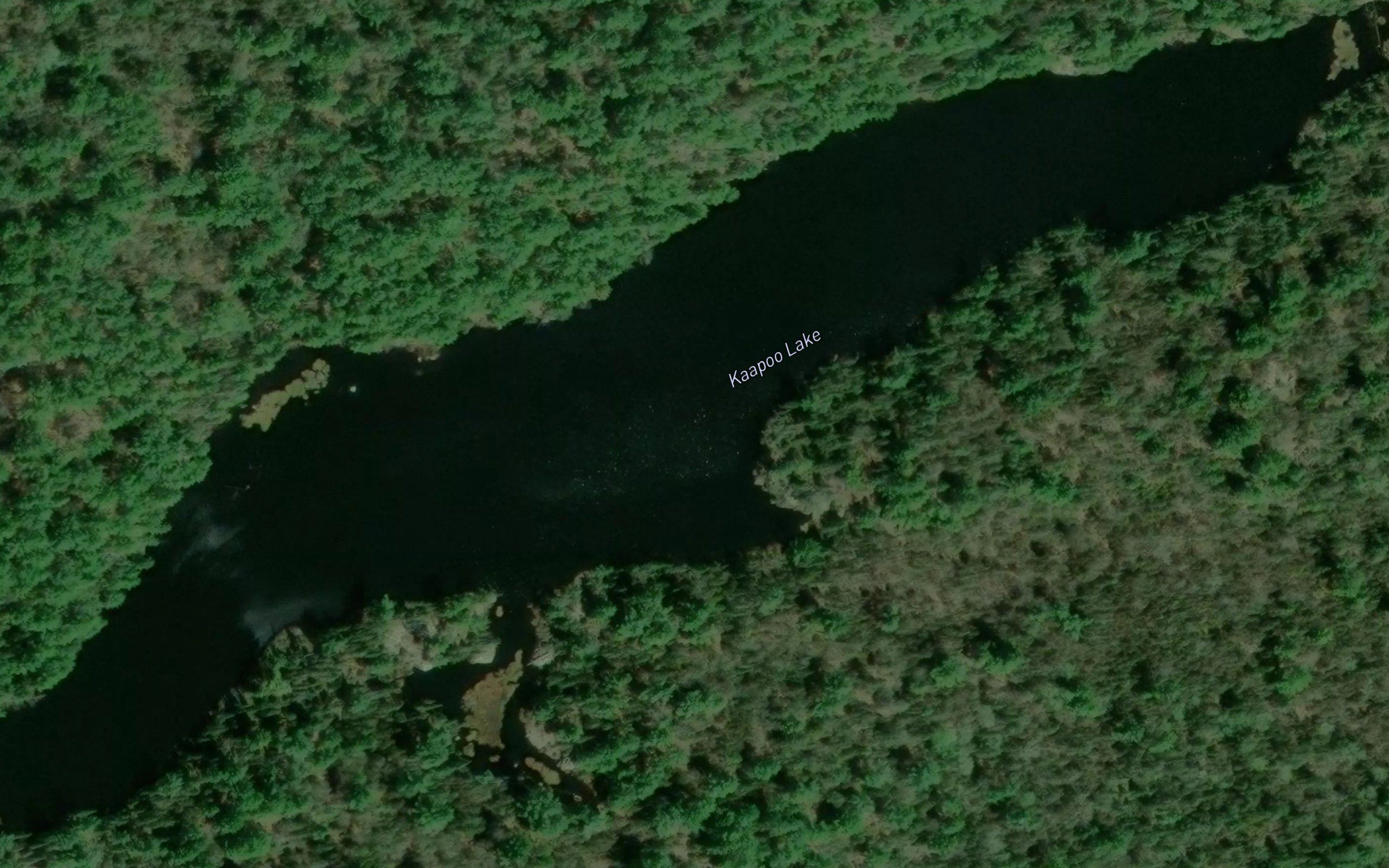 Kaapoo Lake