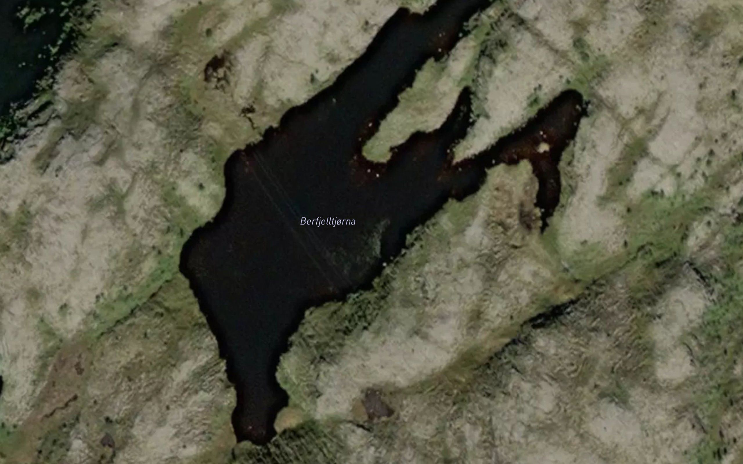 Berfjelltjorna