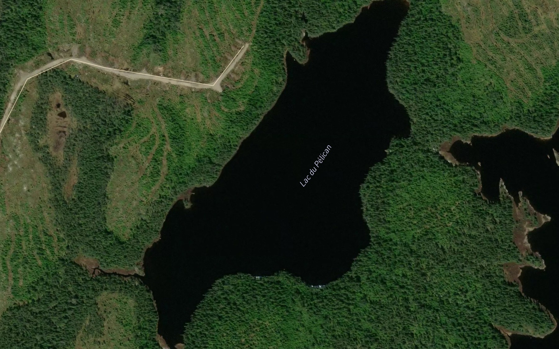 Satellite map of the Lac du Pelican