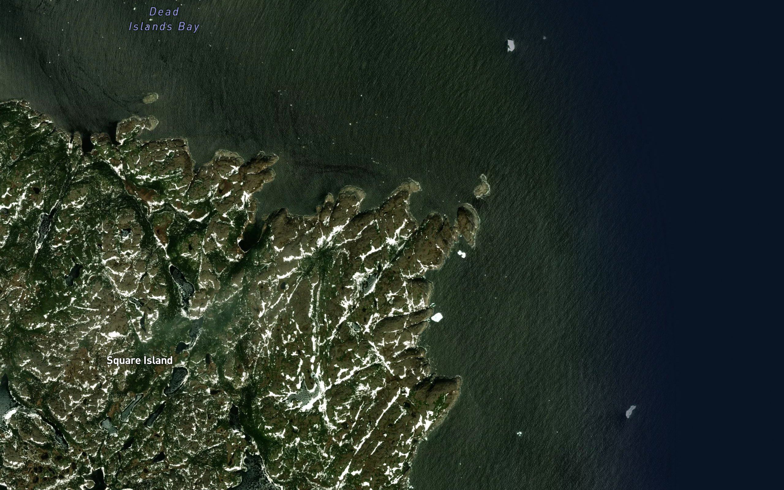 Sugarloaf Cove