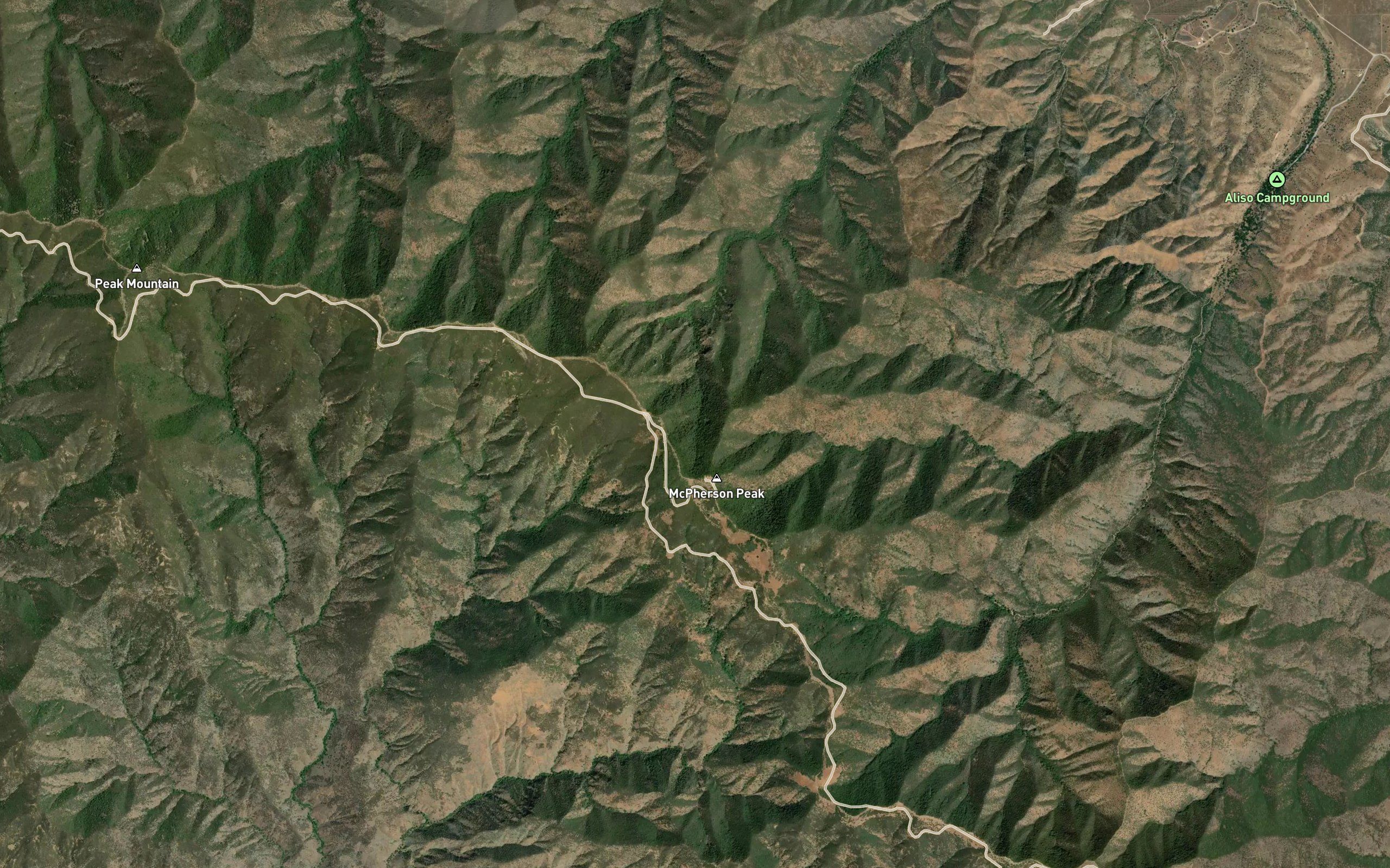 Deer Spring