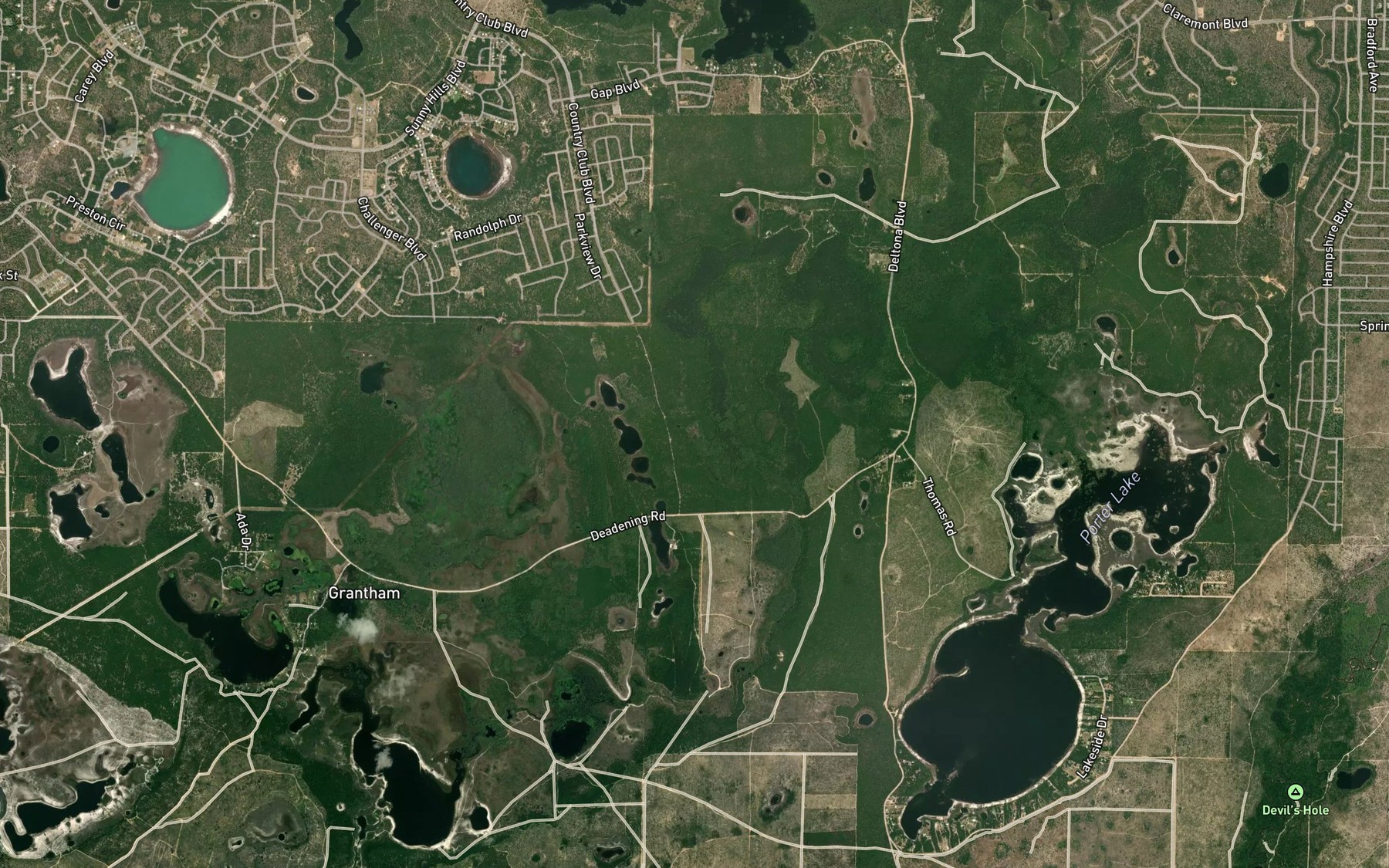Satellite map of the Riley Pond