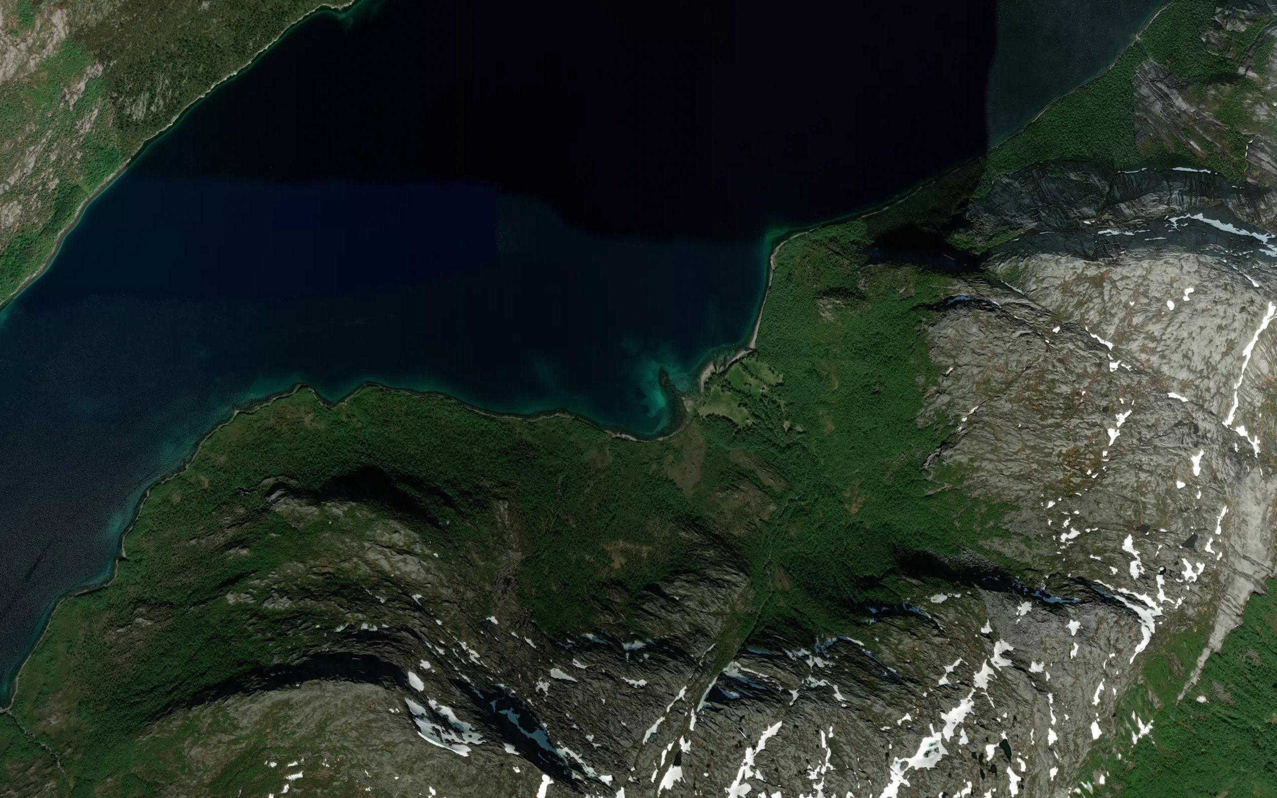 Nevelsvika