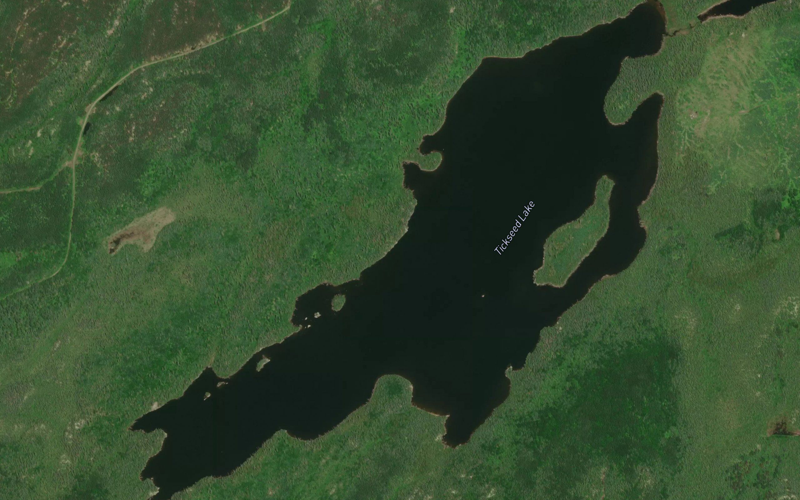 Tickseed Lake