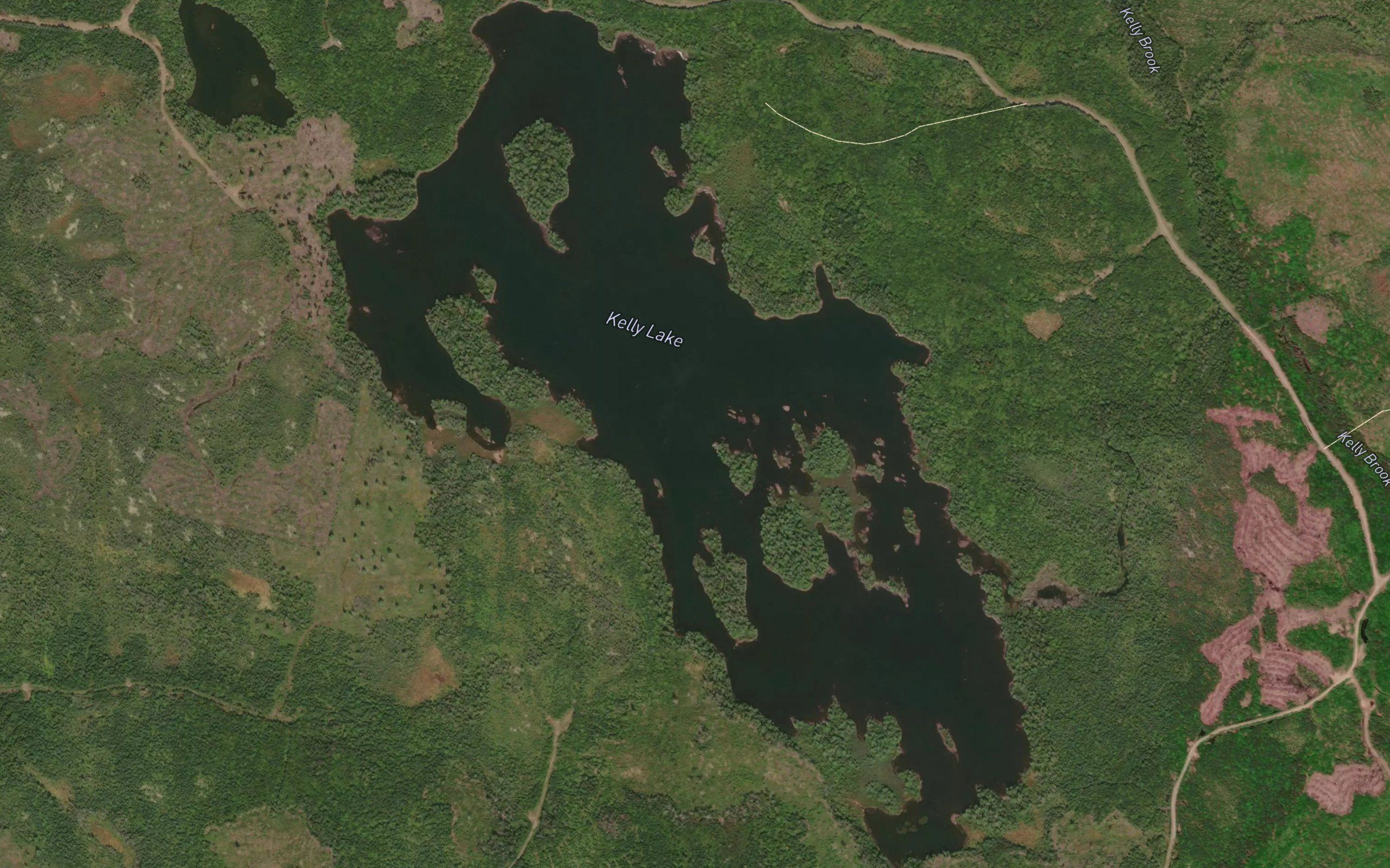 Kelly Lake