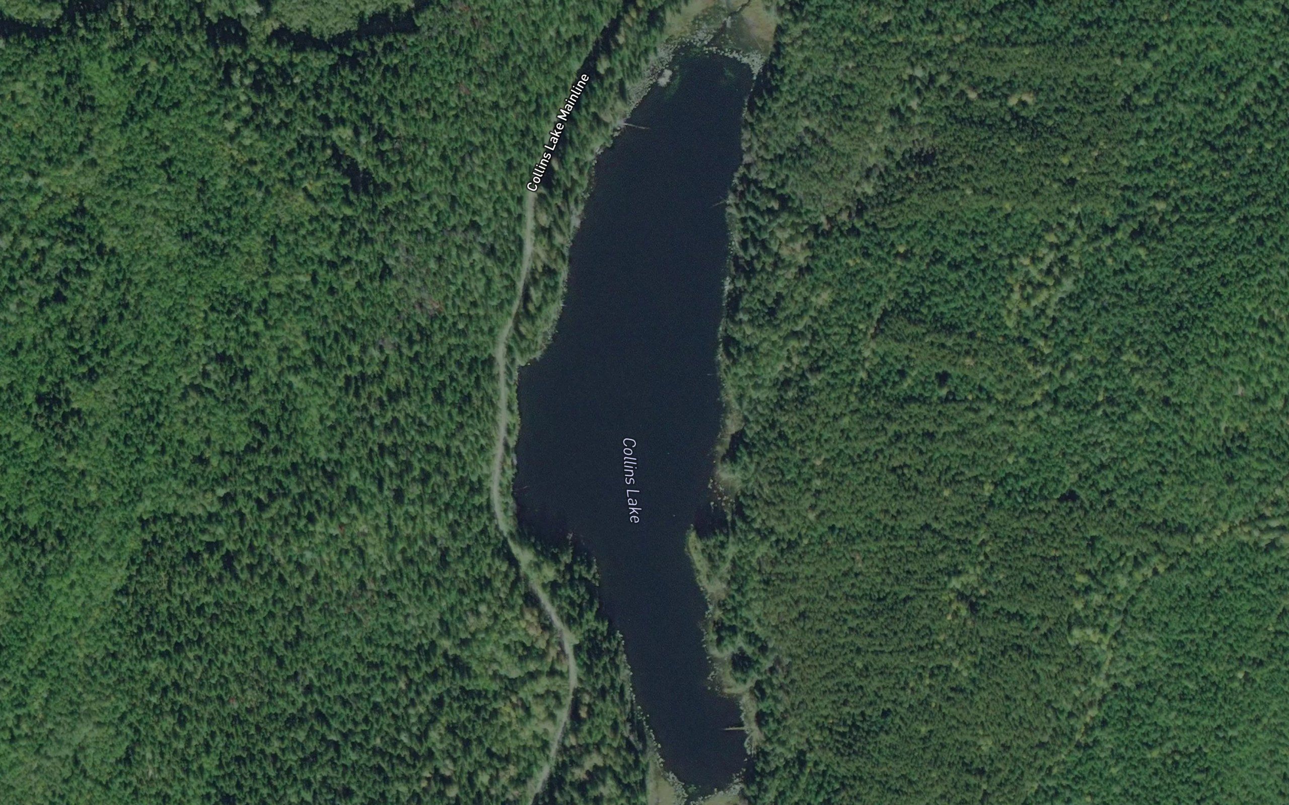 Collins Lake
