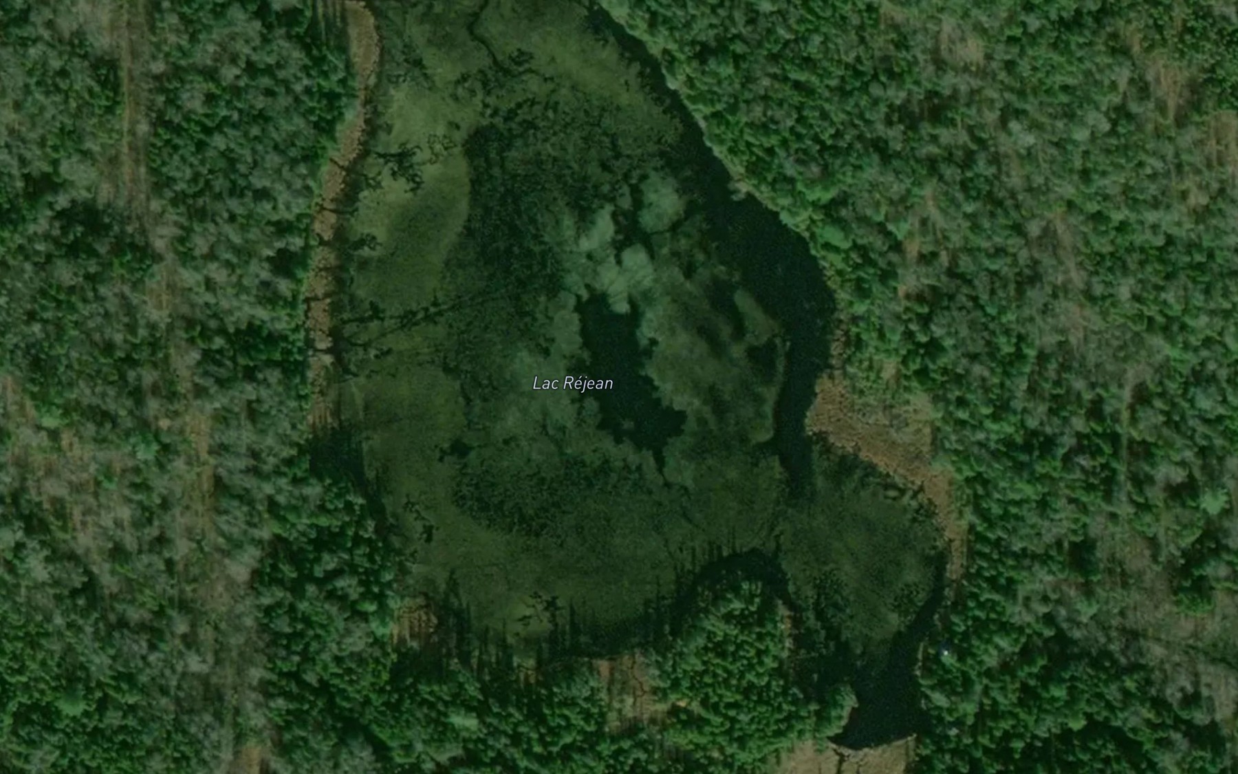 Satellite map of the Lac Rejean
