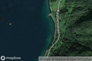 Sortevika