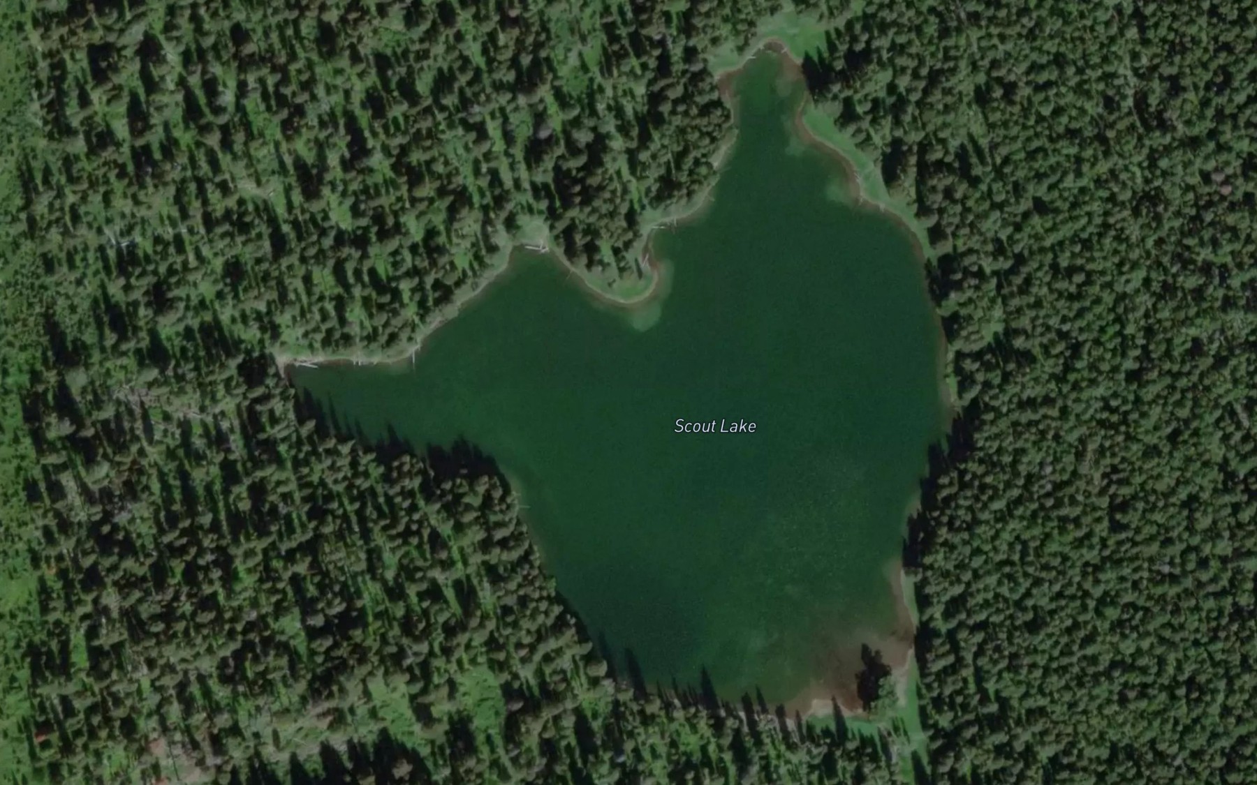 Satellite map of the Scout Lake