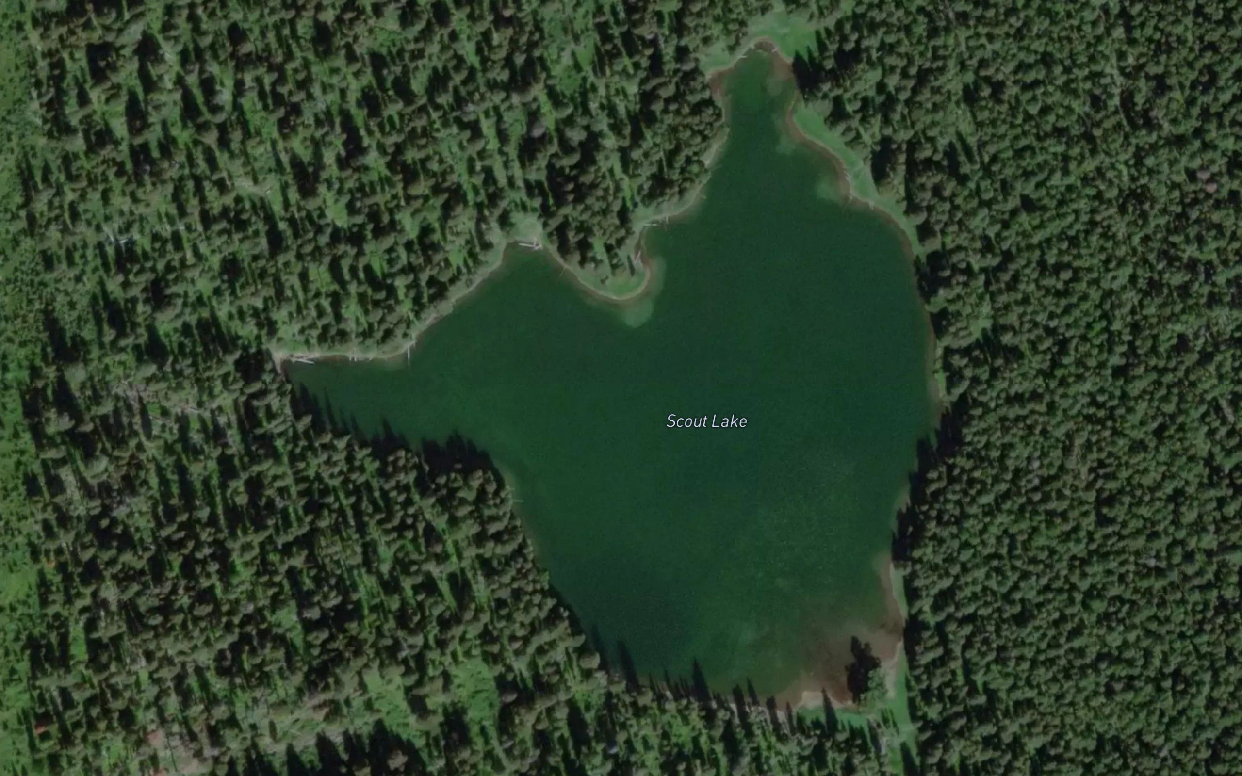 Scout Lake