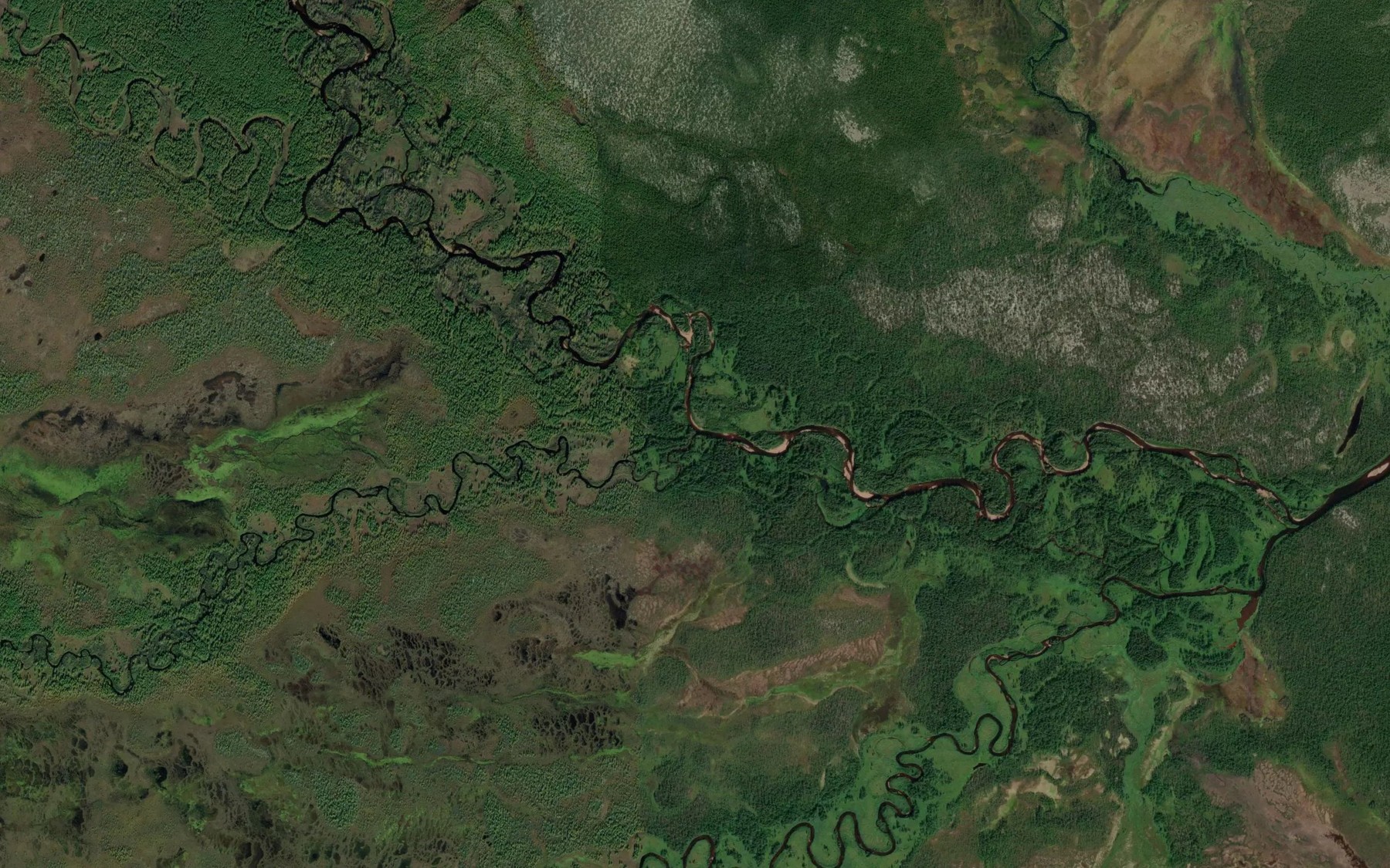 Satellite map of the Babochka