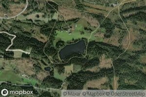 Arnesvetjernet