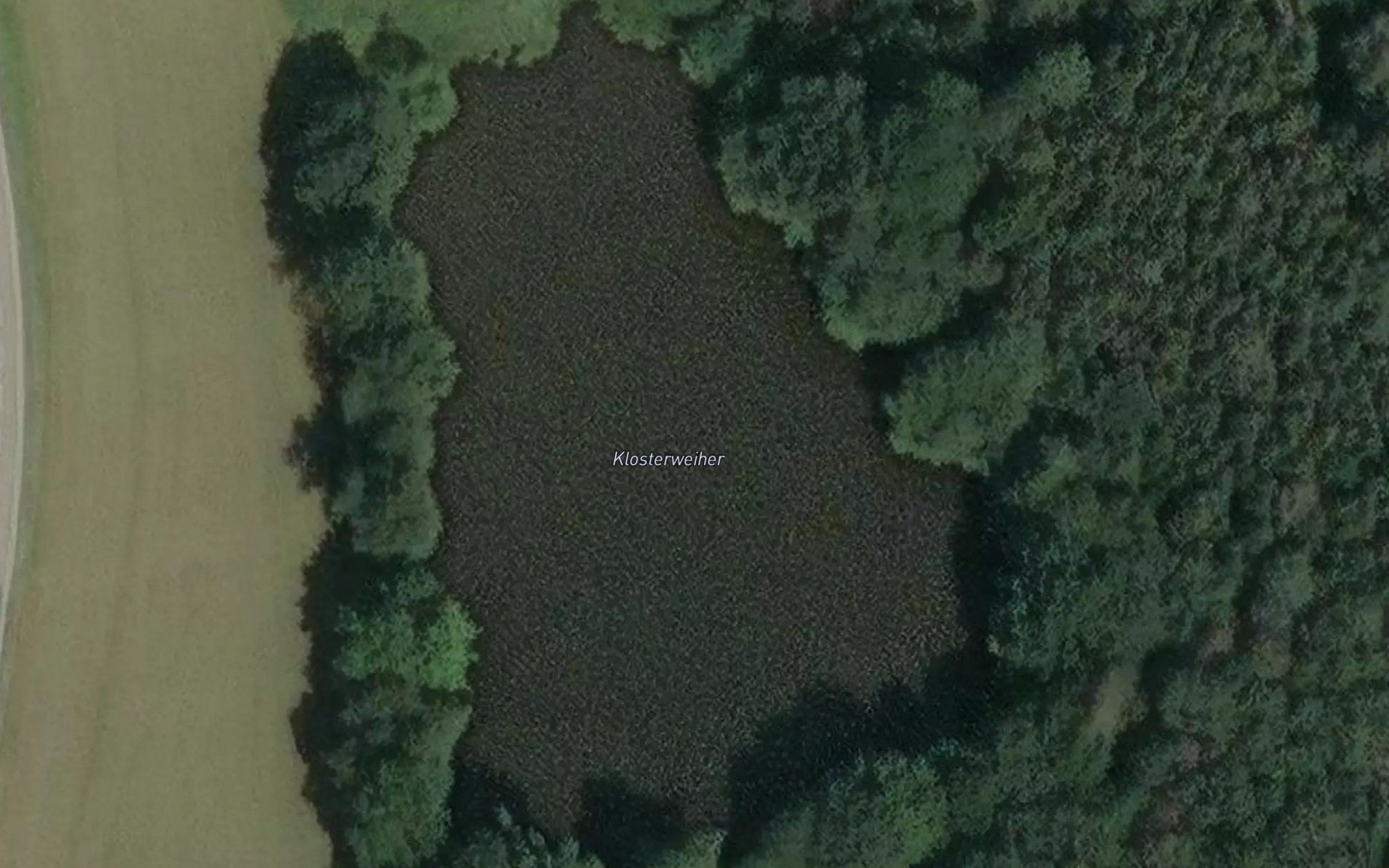 Kloster Weiher