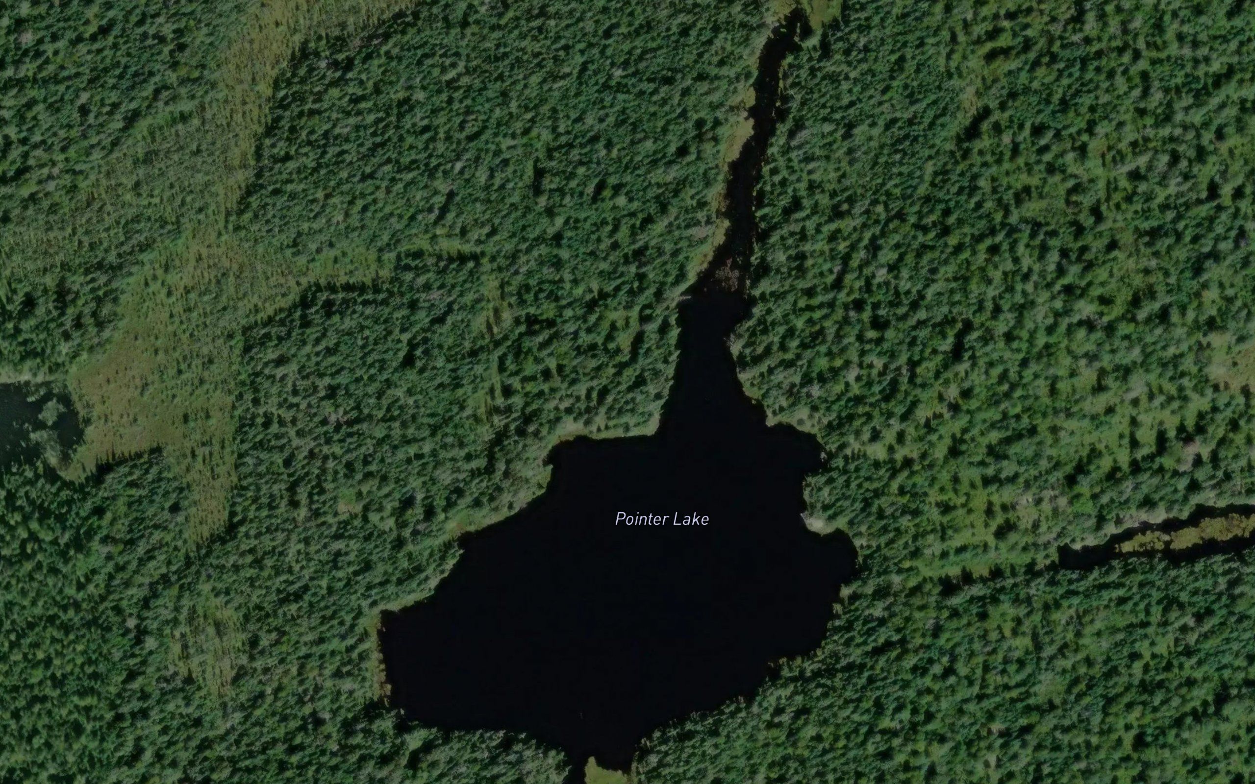 Pointer Lake