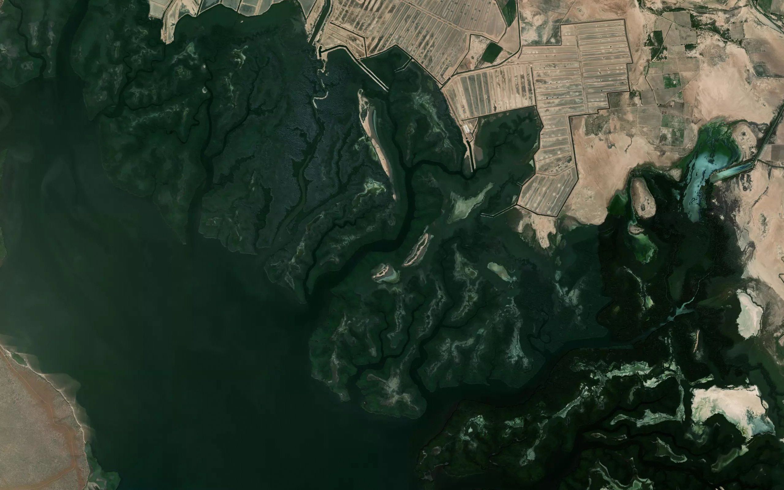Estero Buenaventura