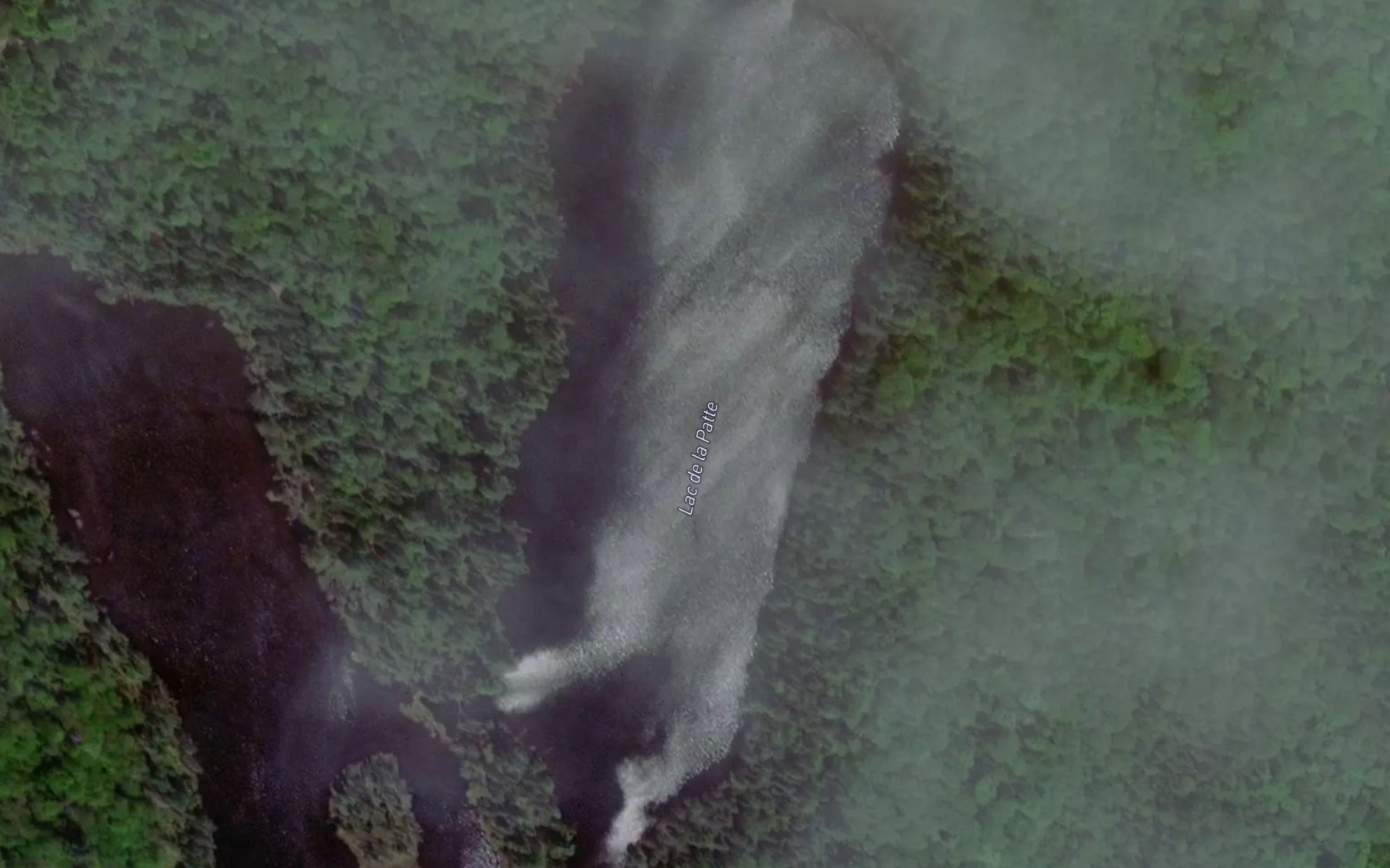 Satellite map of the Lac de la Patte