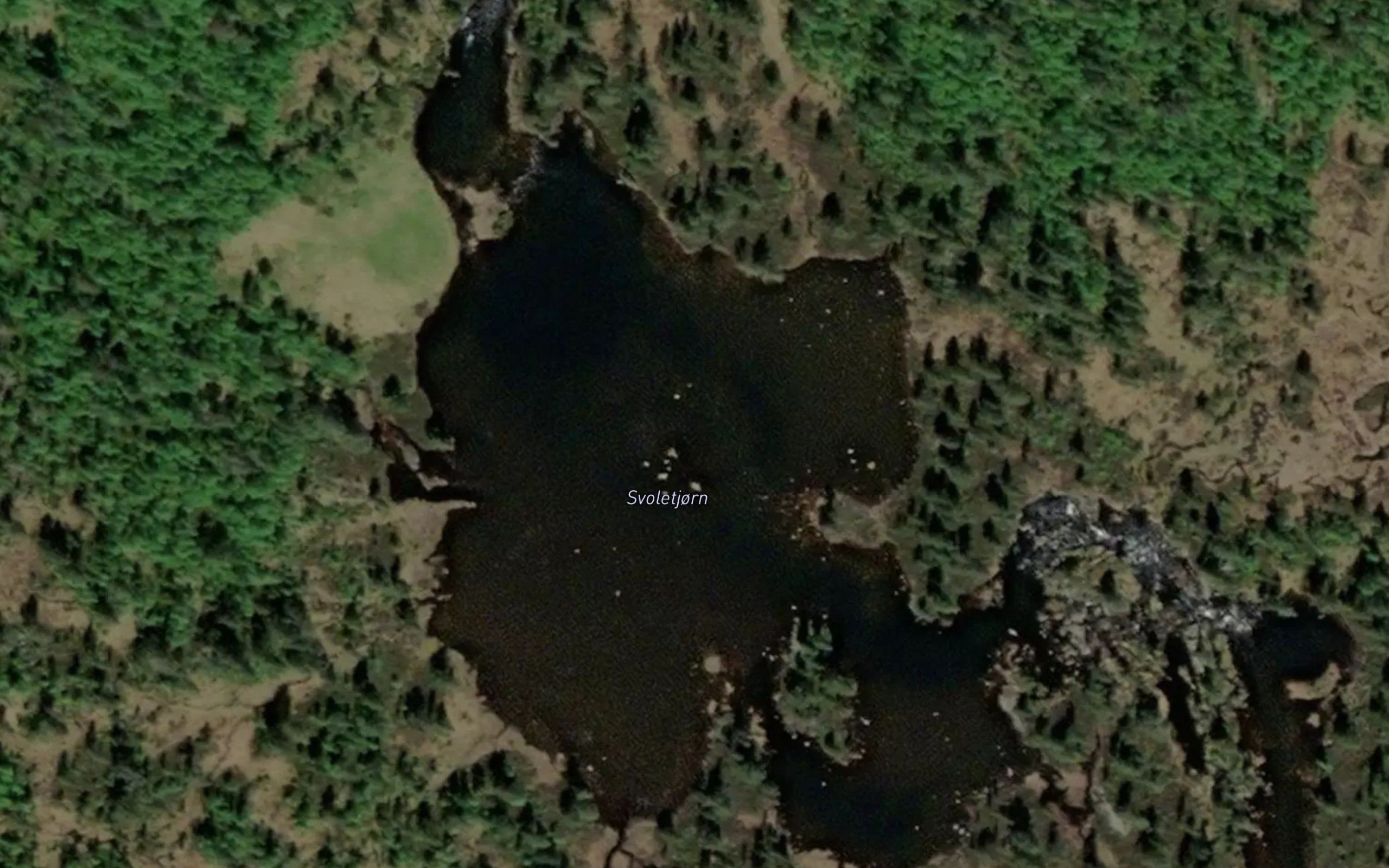Svoletjonn