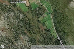 Lauva